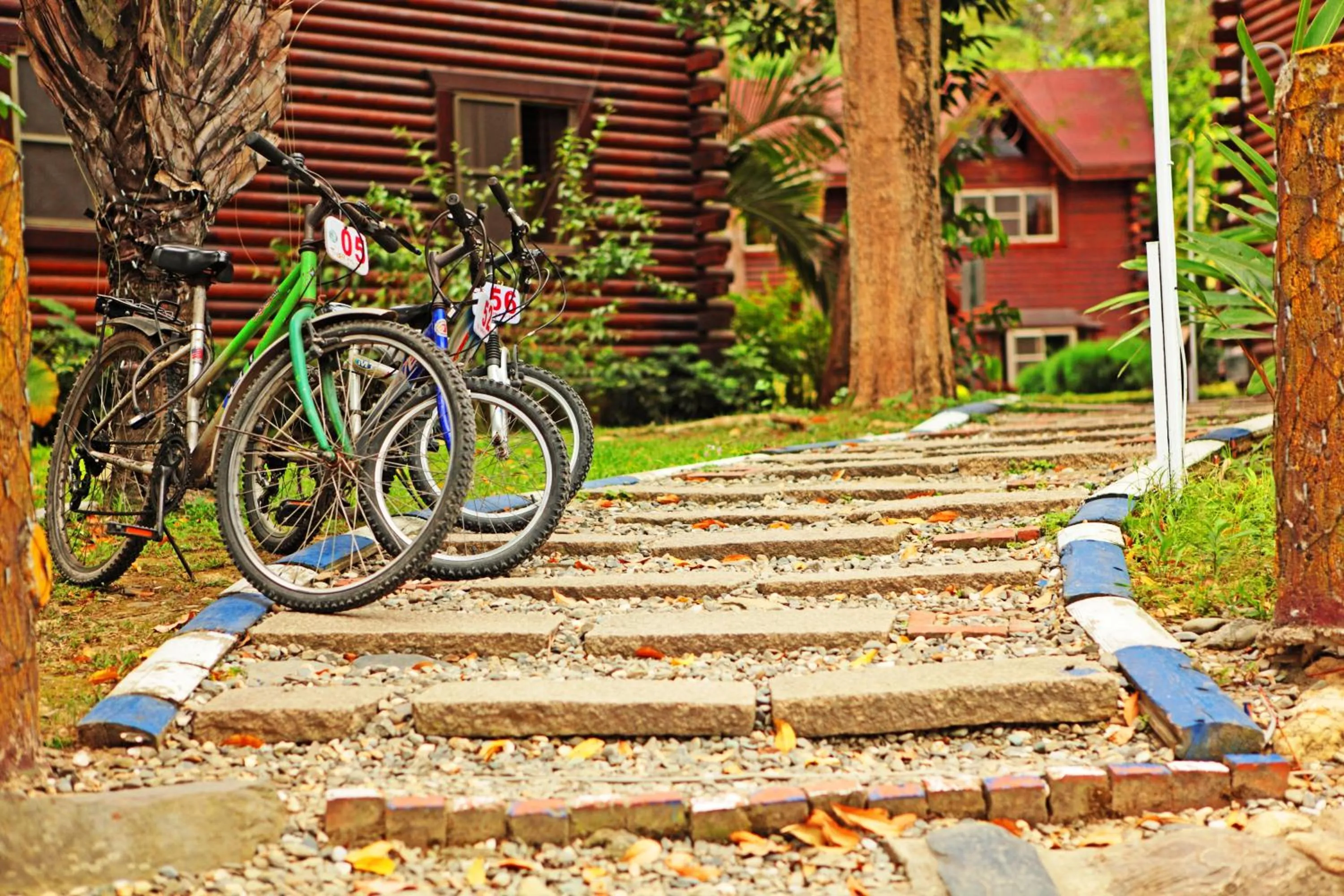 Activities in Master Bear Resort