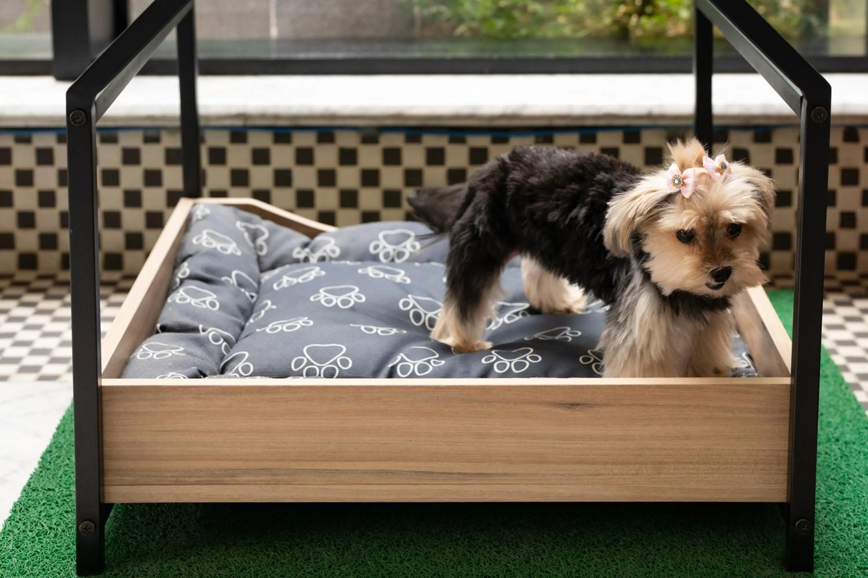 Pets in Intercity Interative São Paulo Jardins