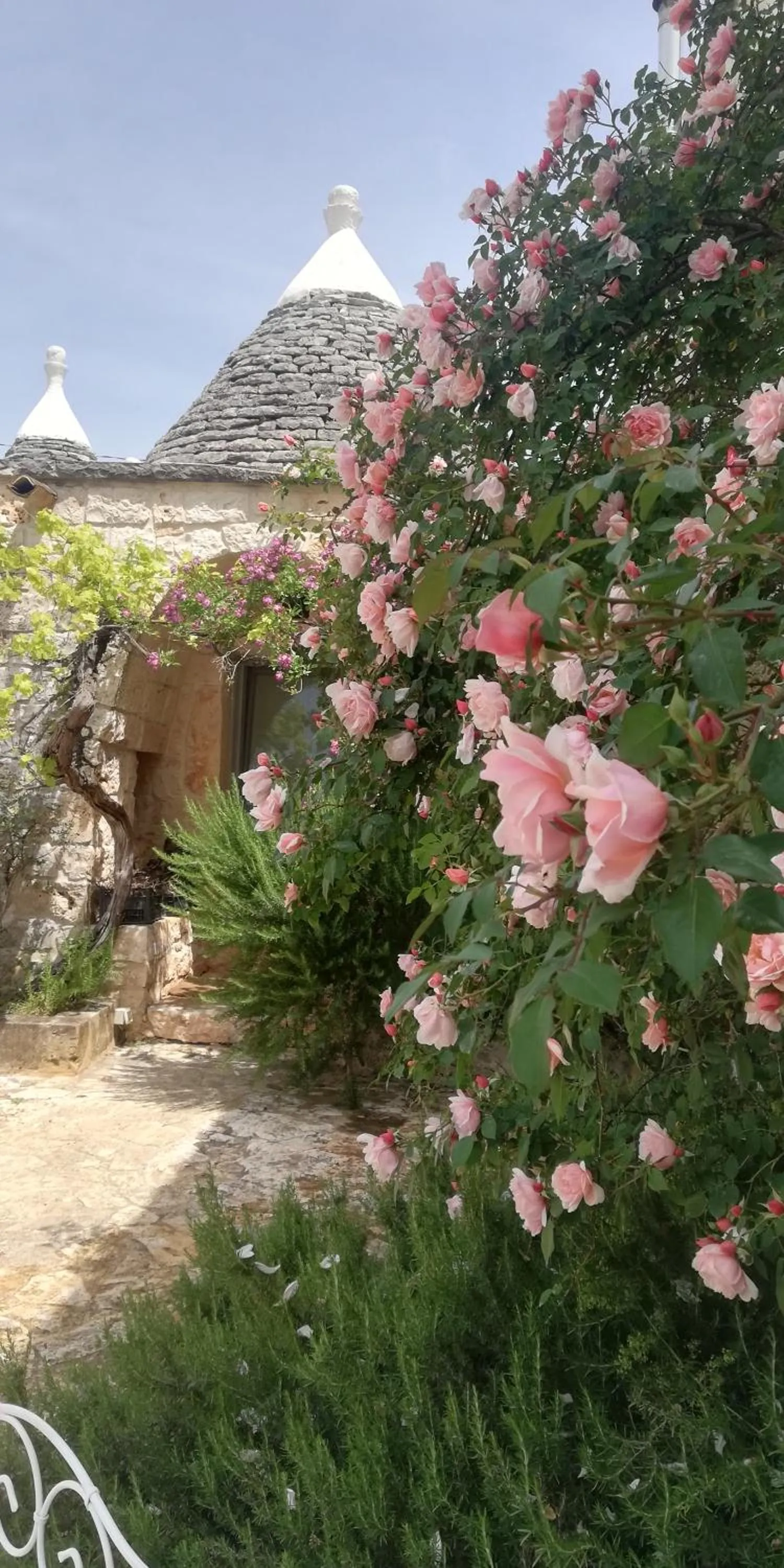 Spring in B&B Giovannarolla Green House