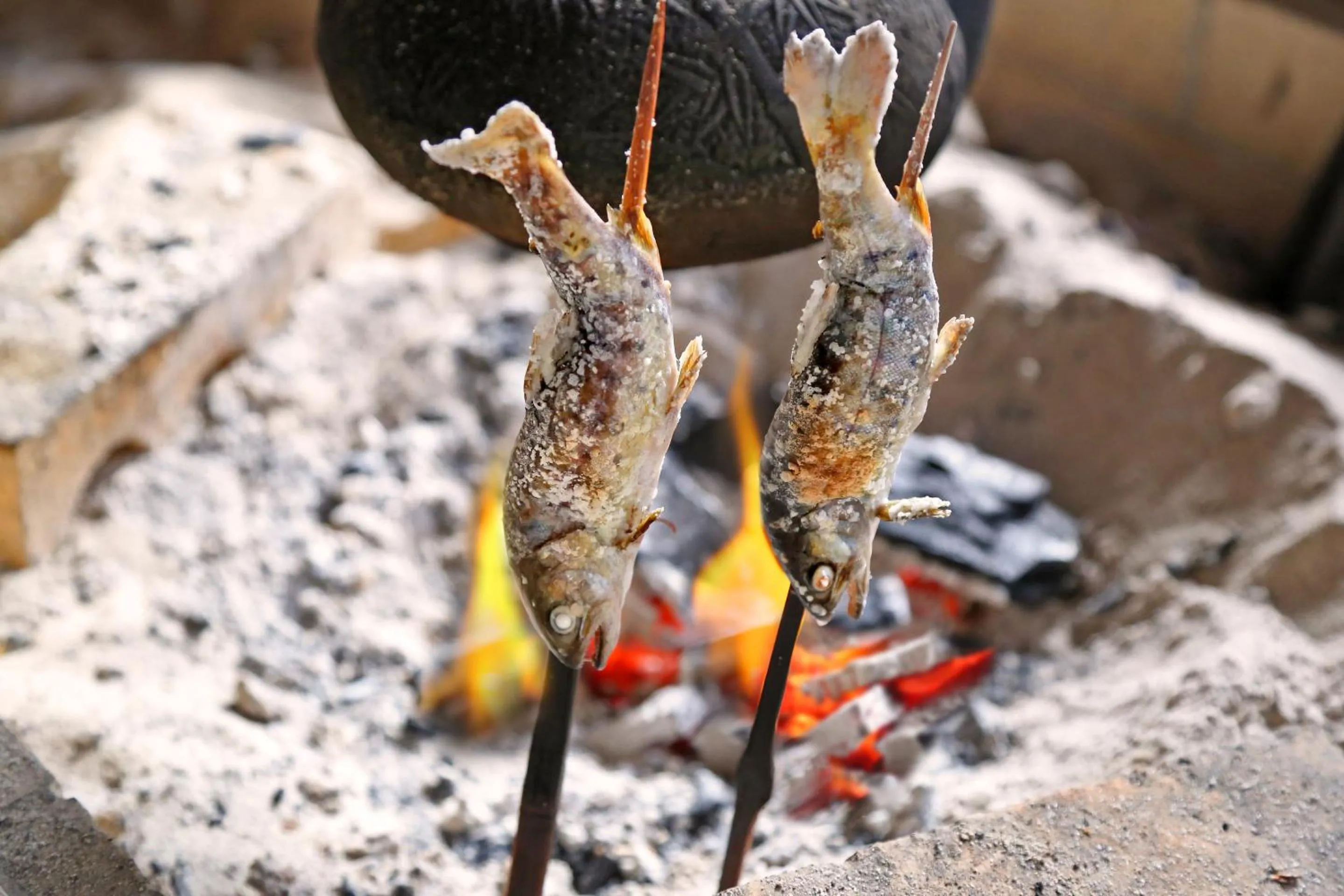 Food in Tawarayama Onsen Ryokan Minawa