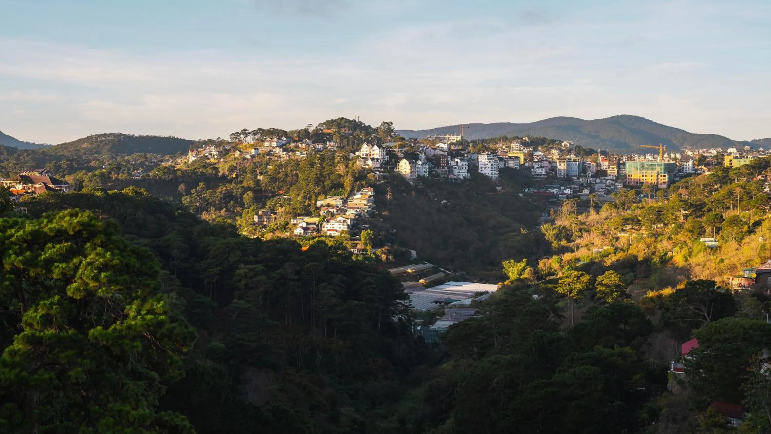 Day in Greenview City Hotel