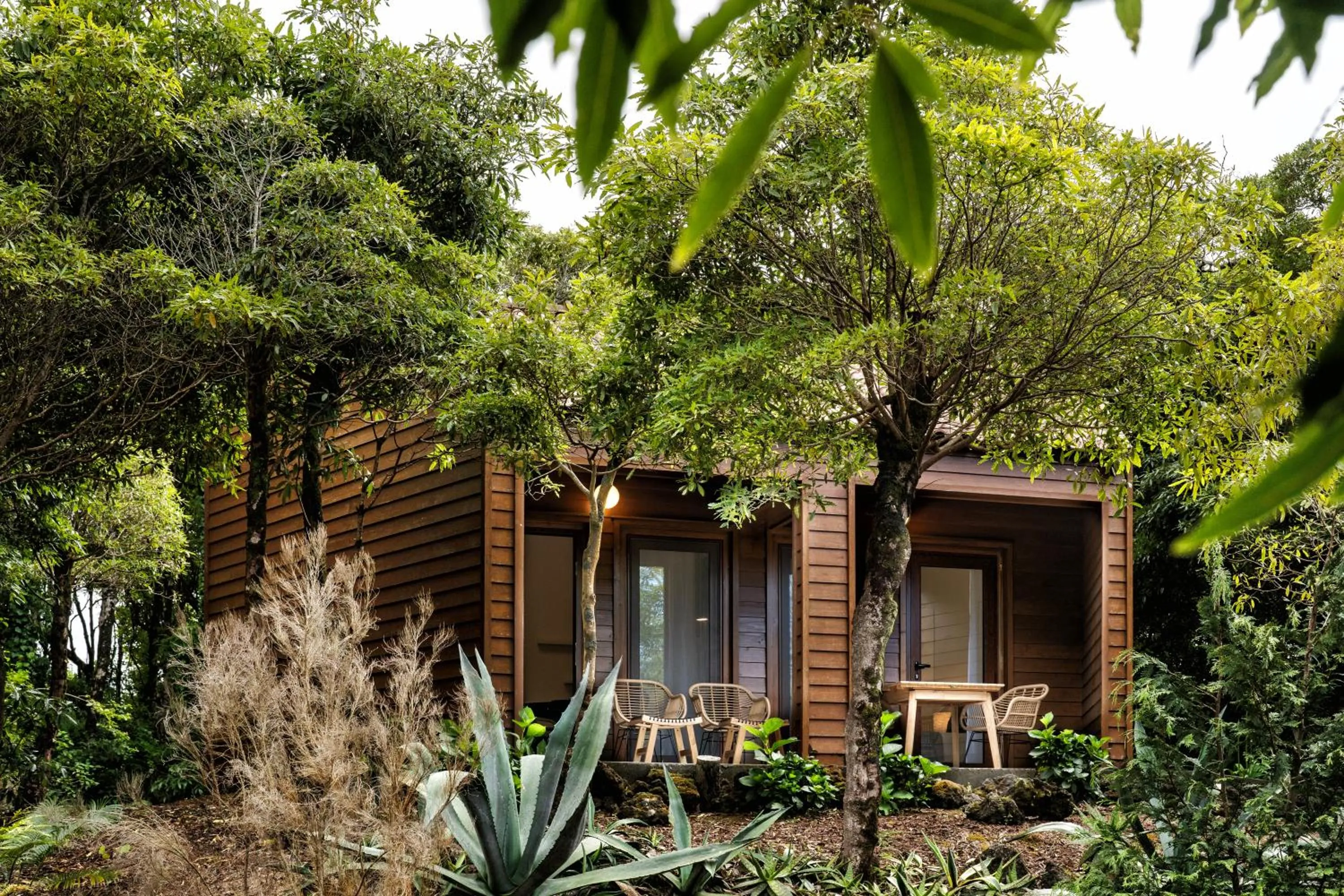 Natural landscape in Alma do Pico - Nature Residence