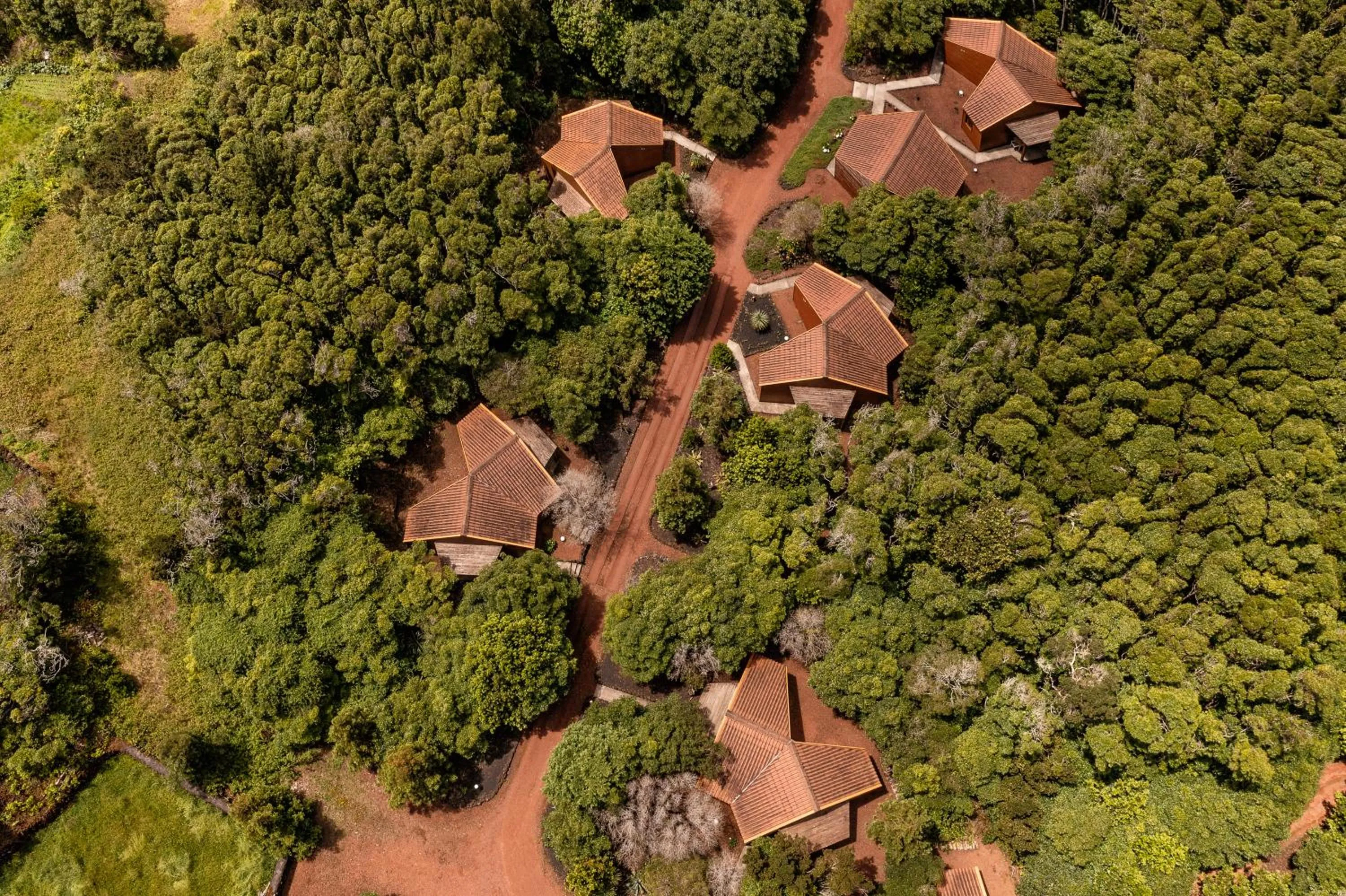 Property building in Alma do Pico - Nature Residence