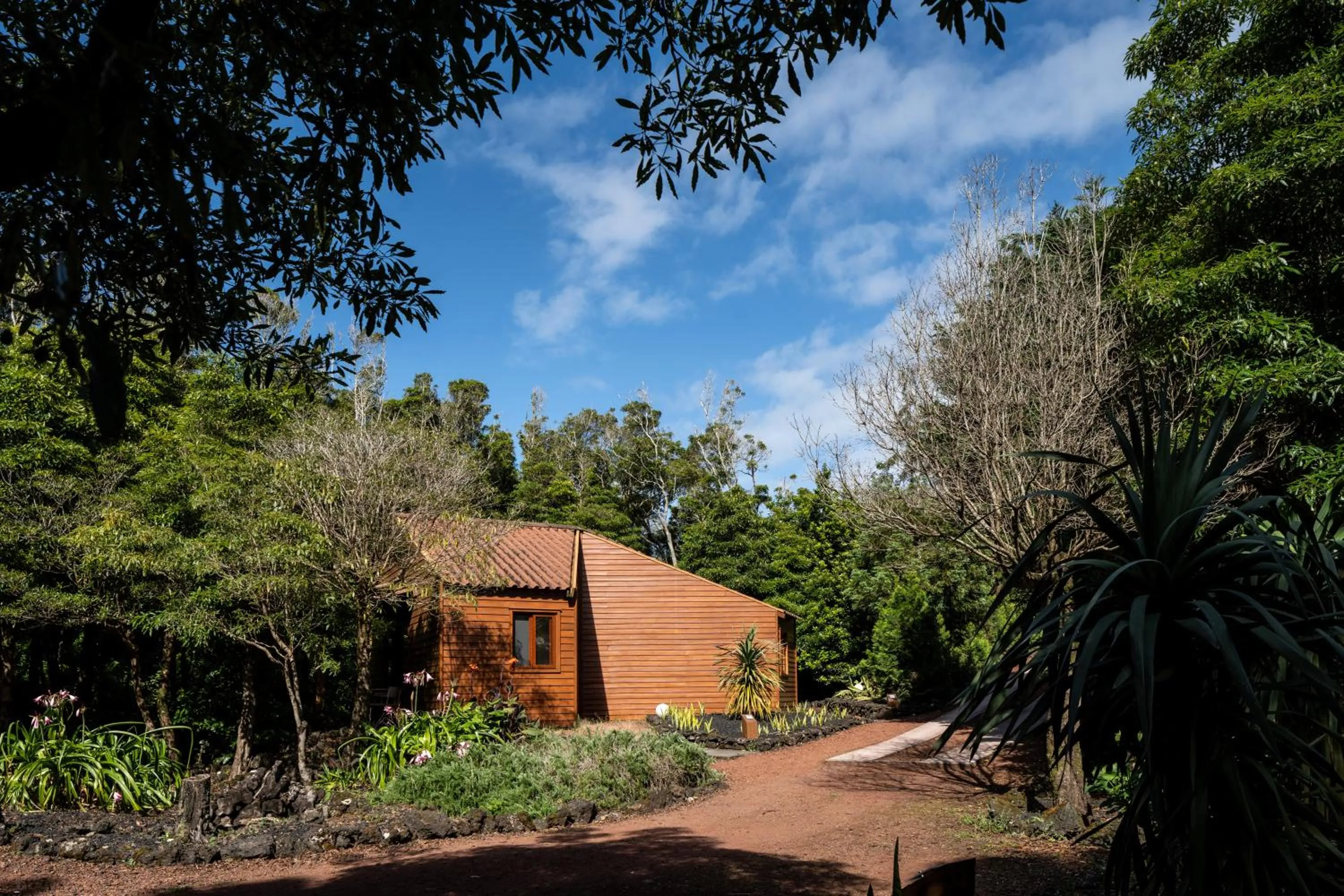 Natural landscape in Alma do Pico - Nature Residence