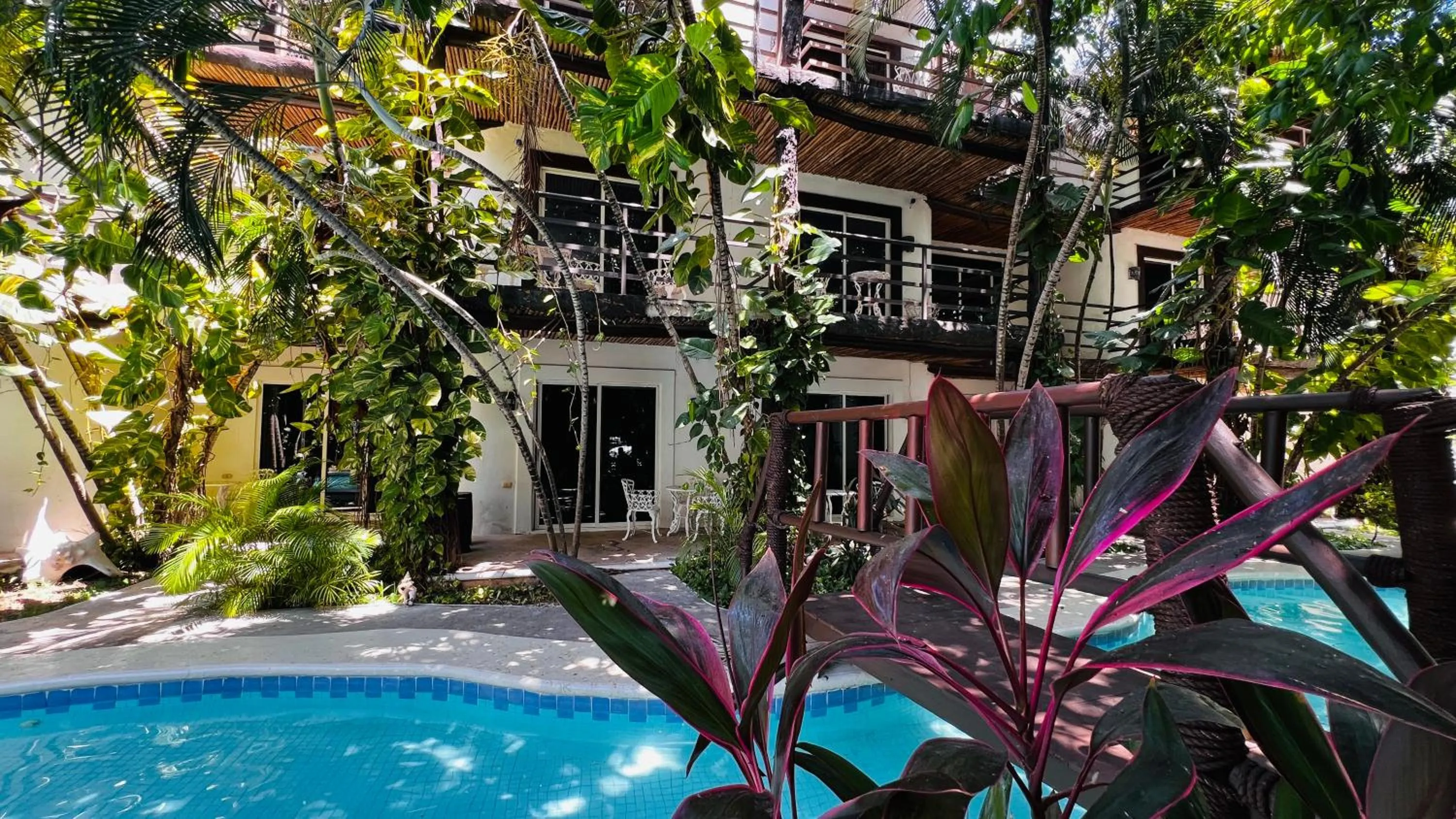 Pool view in Mayan Art Hotel 10 avenue