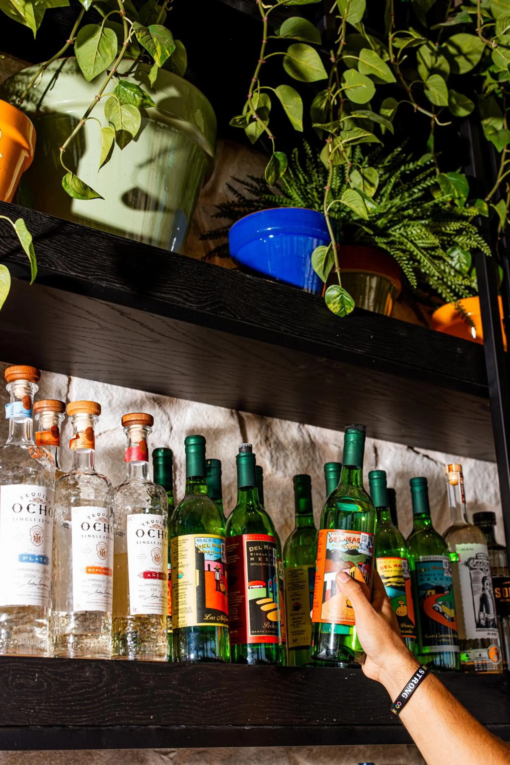 Lounge or bar in Kimpton Santo San Antonio - Riverwalk by IHG