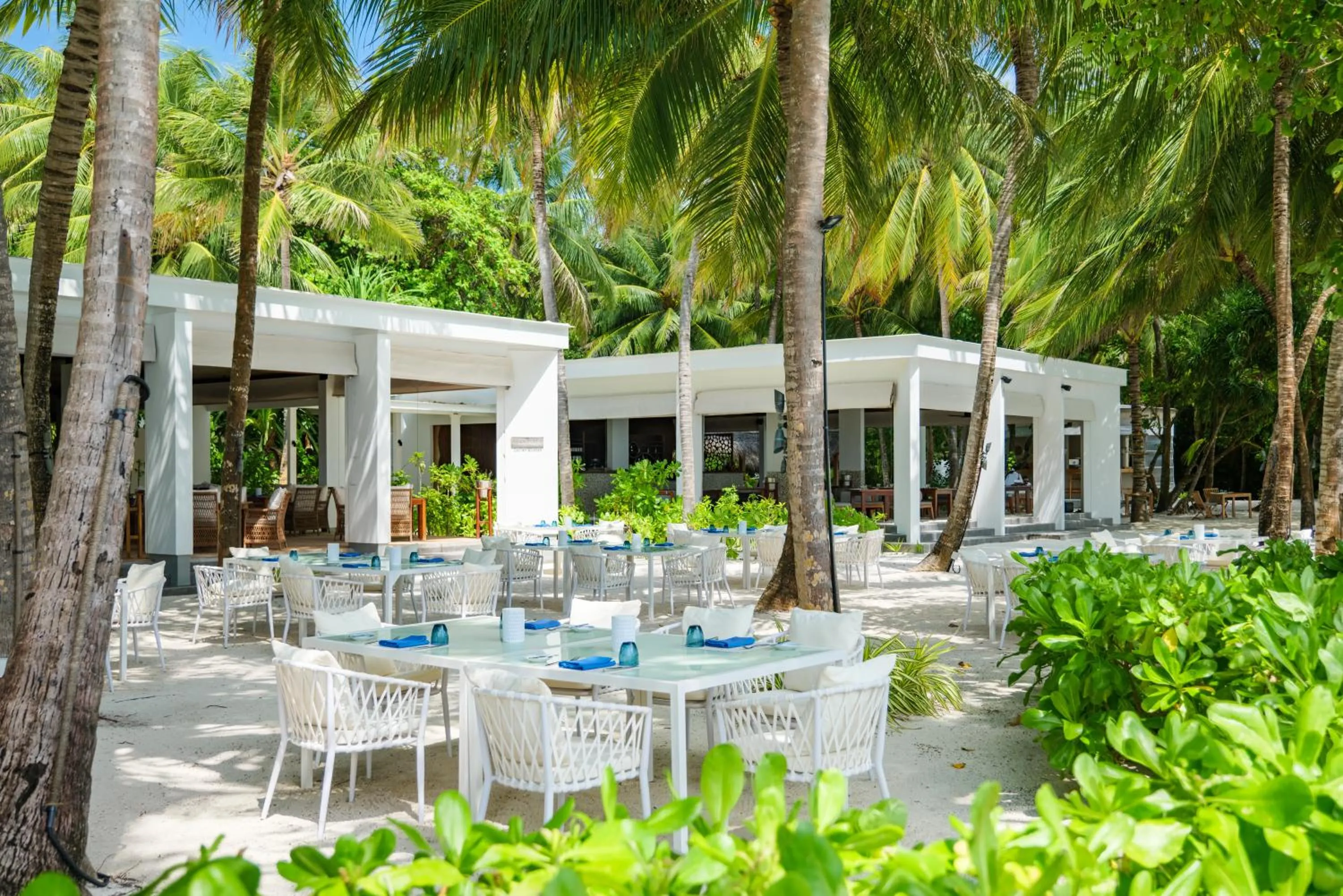 Restaurant/places to eat in Amilla Maldives
