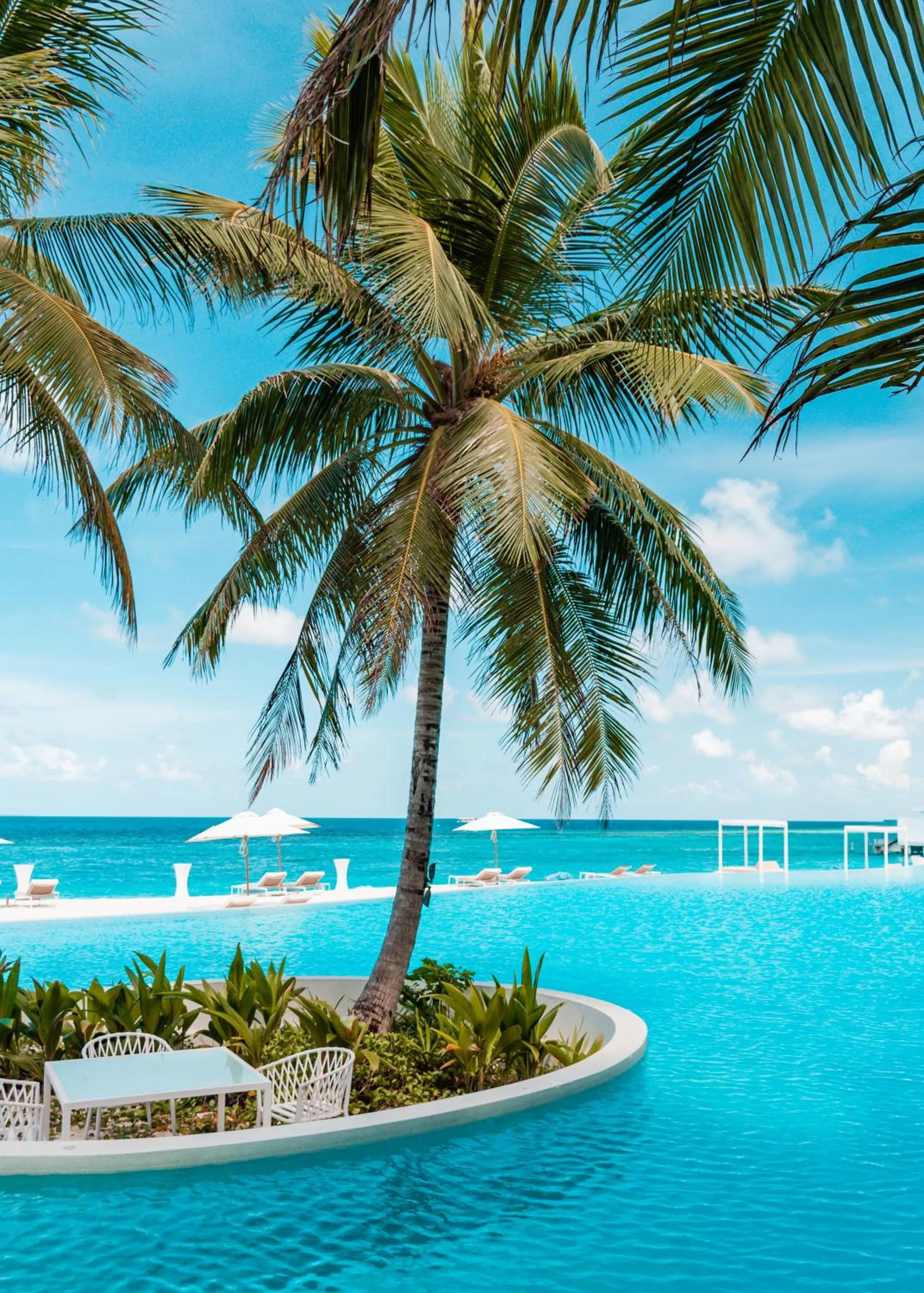 View (from property/room) in Amilla Maldives