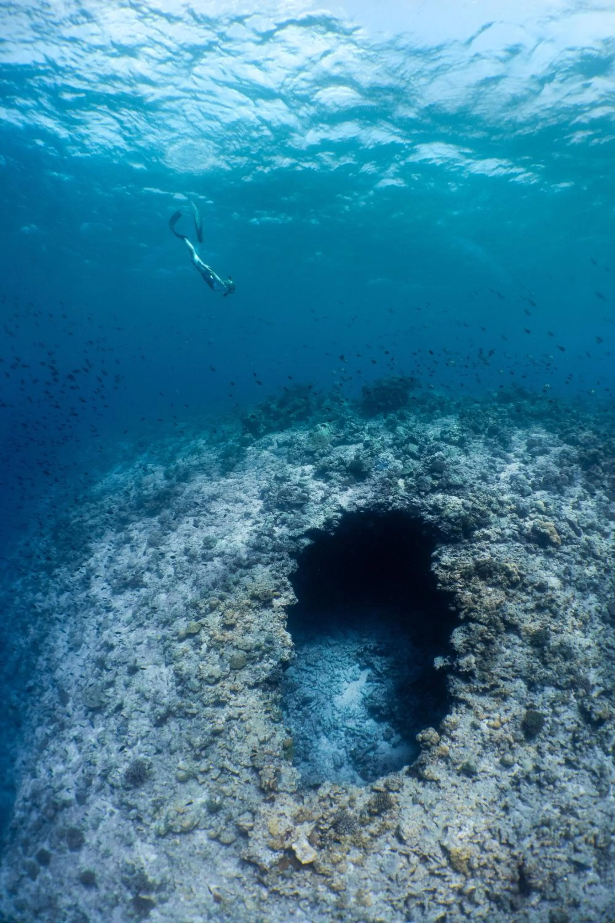 Snorkeling in Amilla Maldives