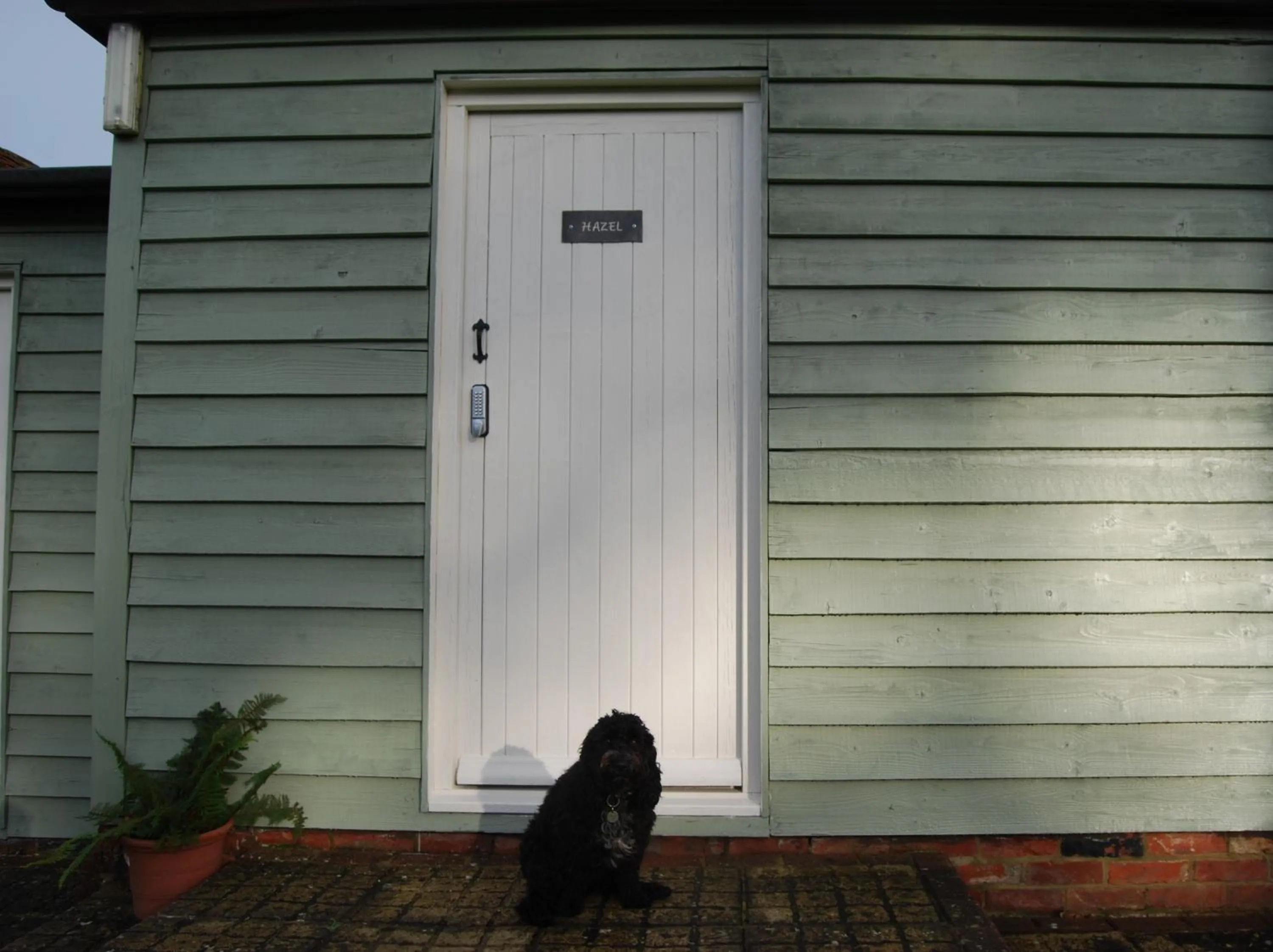 Pets in Hare & Hounds Bed & Breakfast