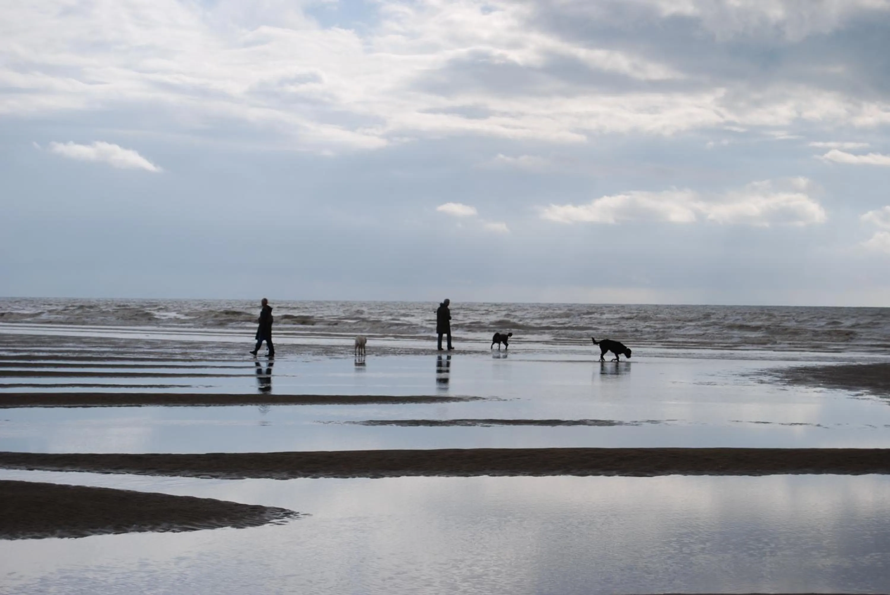 Pets in Hare & Hounds Bed & Breakfast