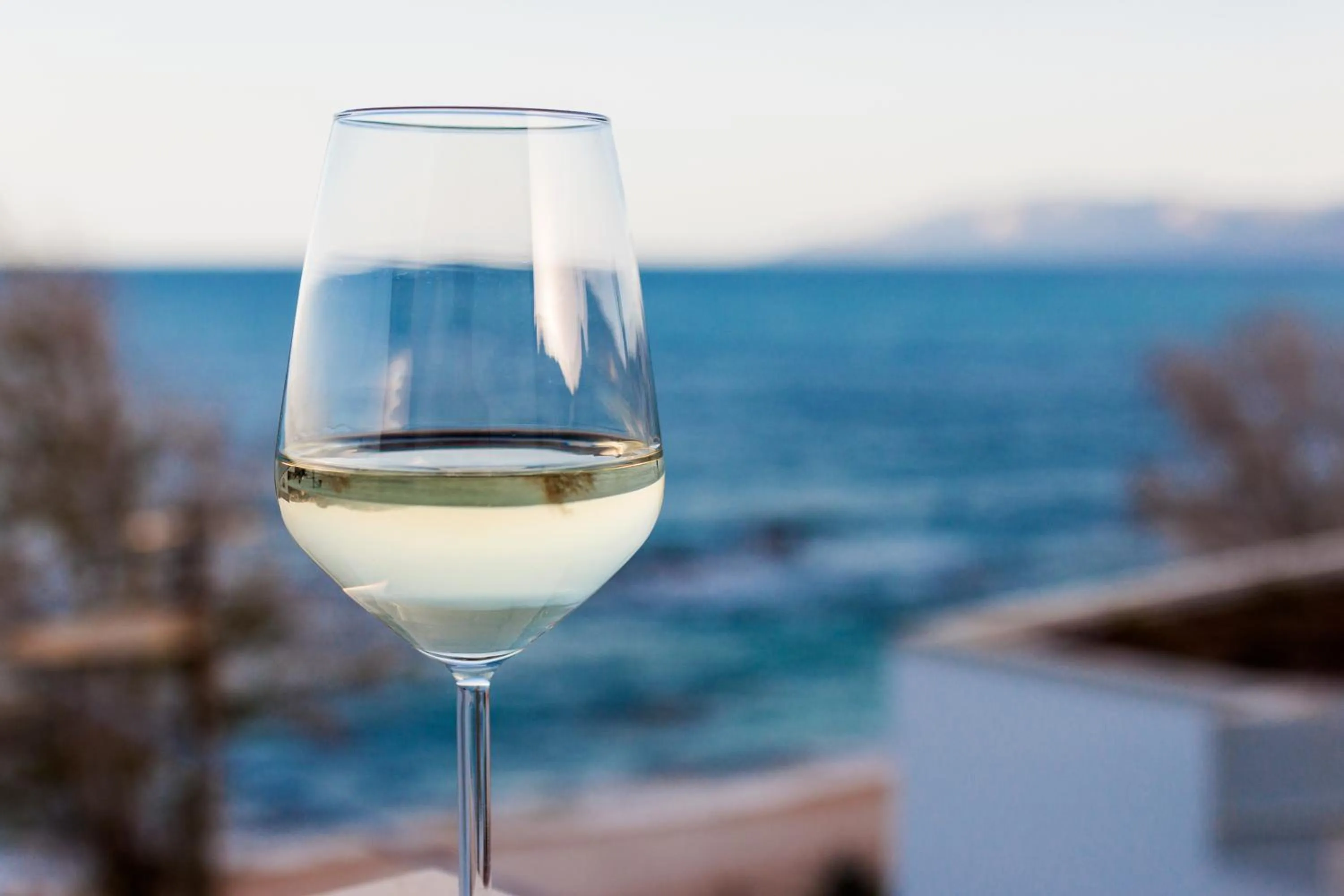 Drinks in La Favorita Hotel