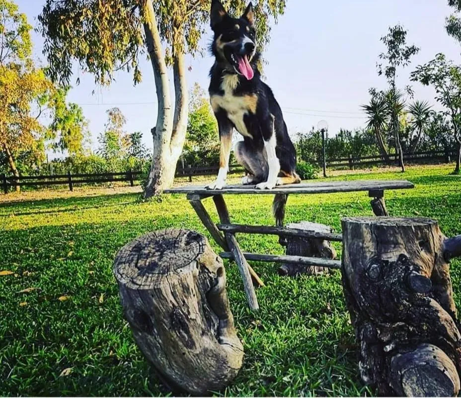 Garden in Tenuta Li Fani Residence Hotel
