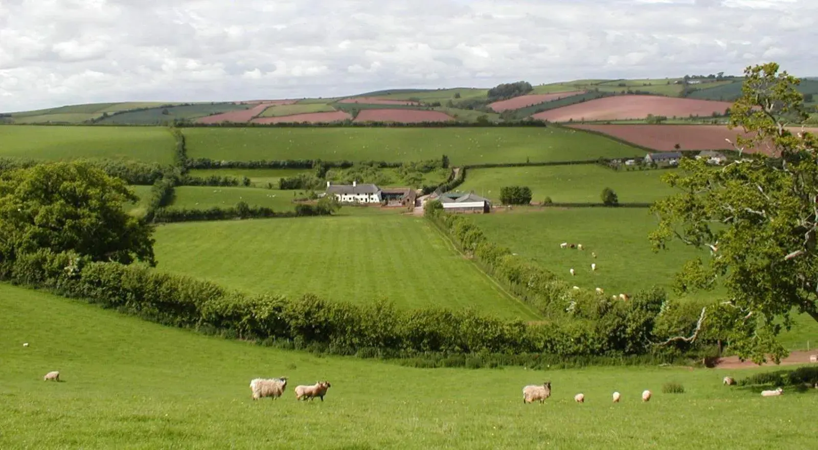 Combe Lancey Farmhouse B&B Combe Lancey Farmhouse B&B