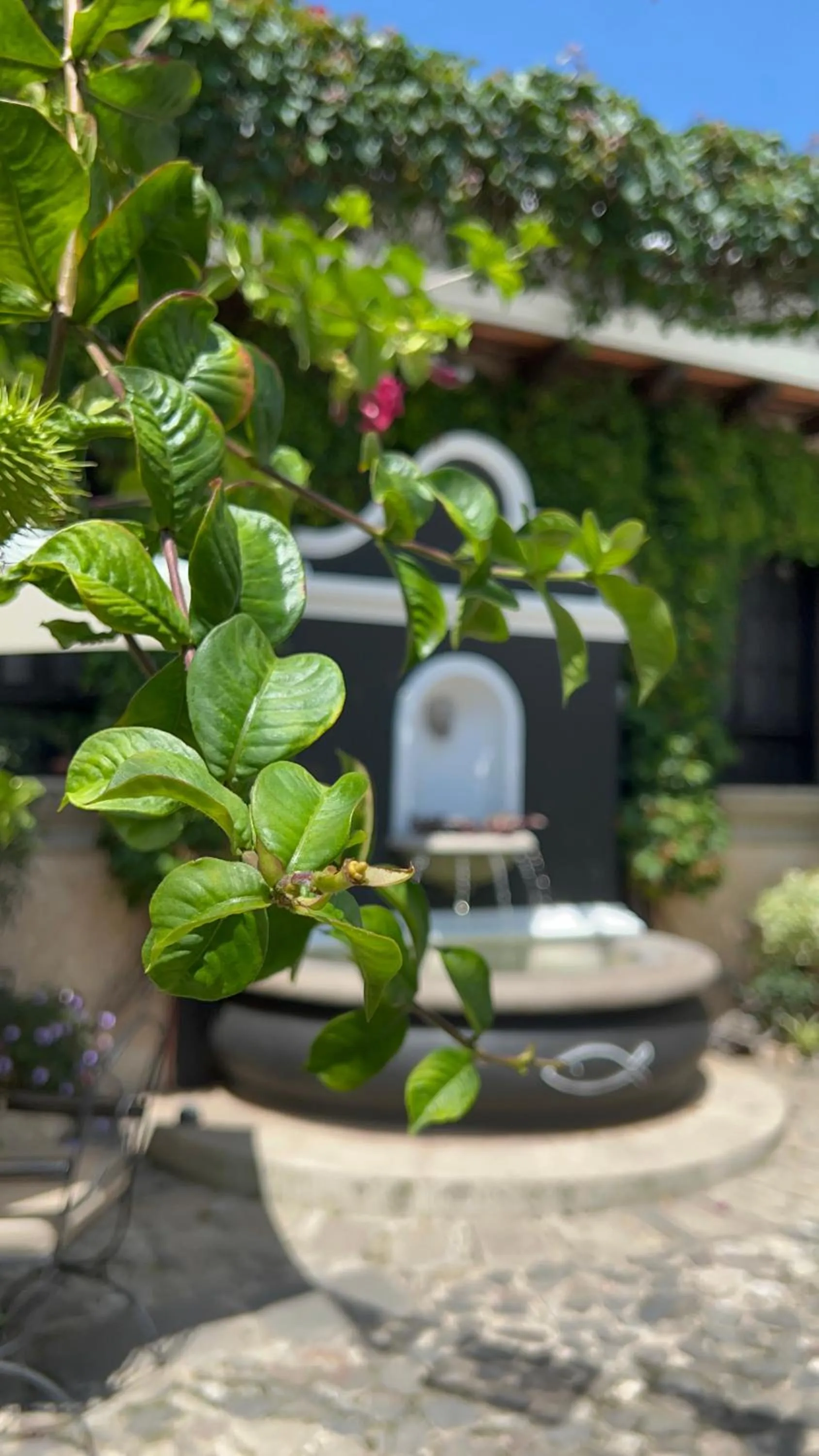 Ciel Luxe Hotels Antigua Guatemala