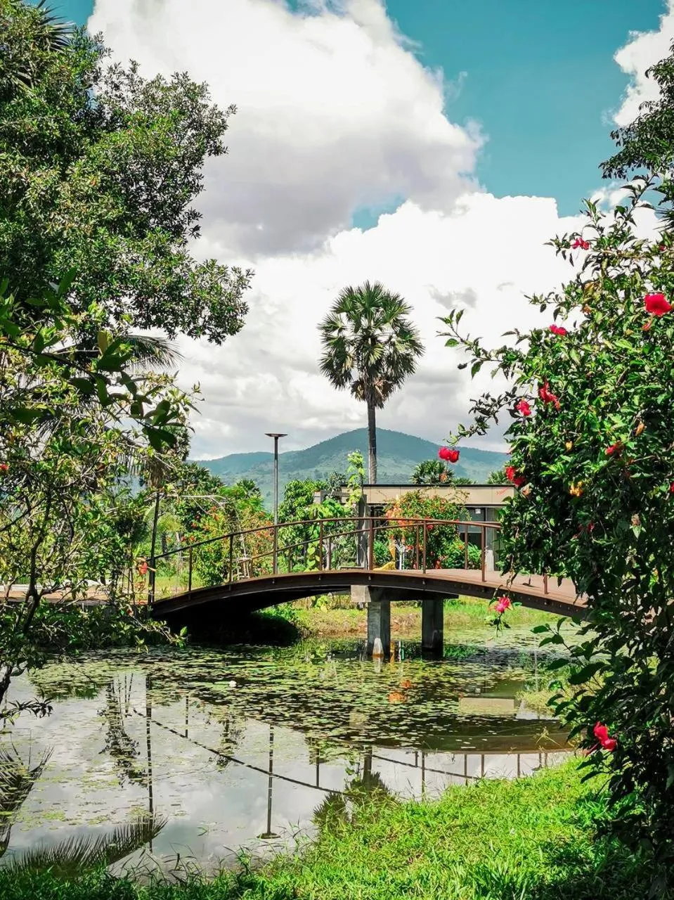 Garden in Ganesha Kampot Resort
