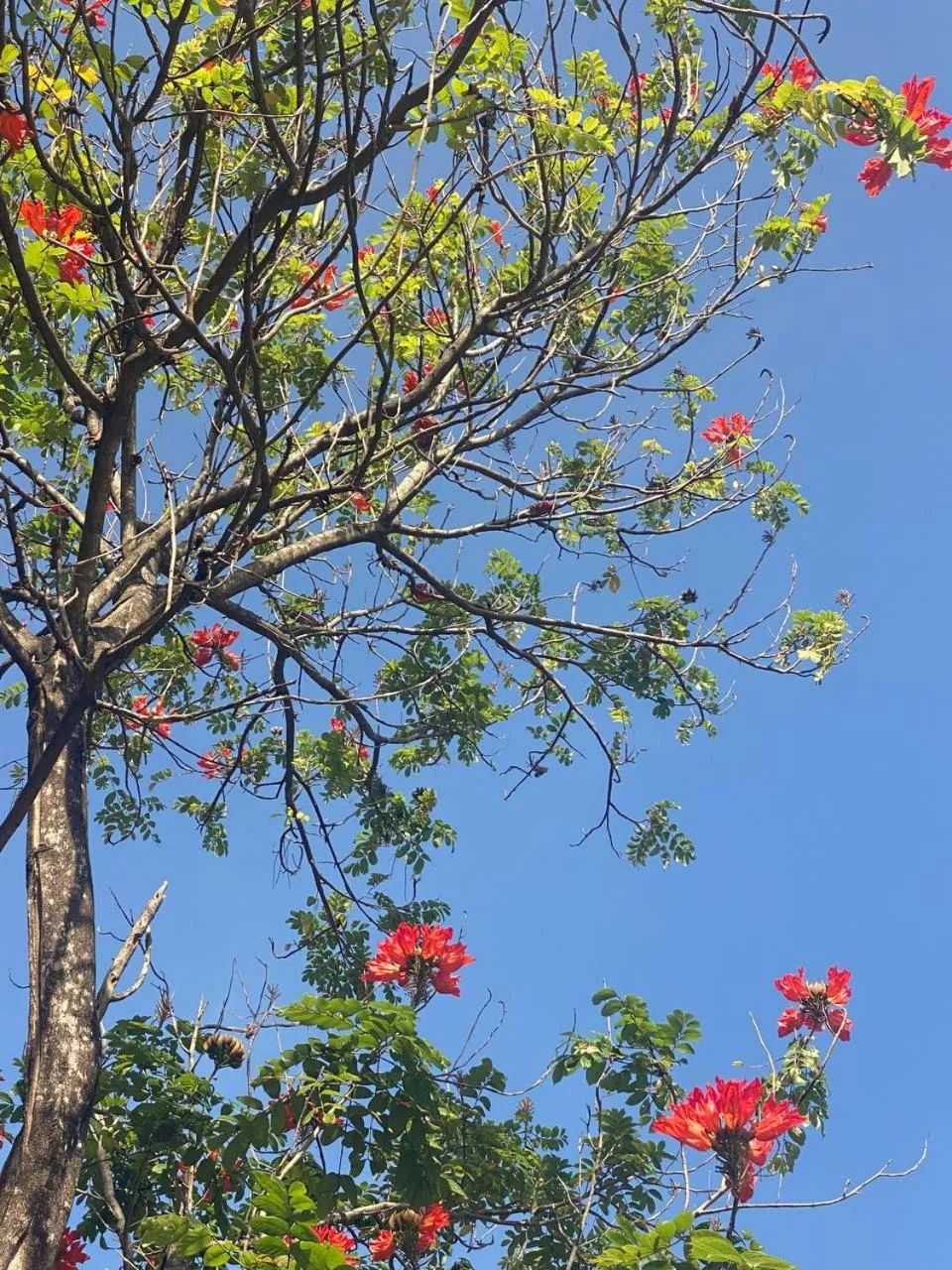 Ganesha Kampot Resort