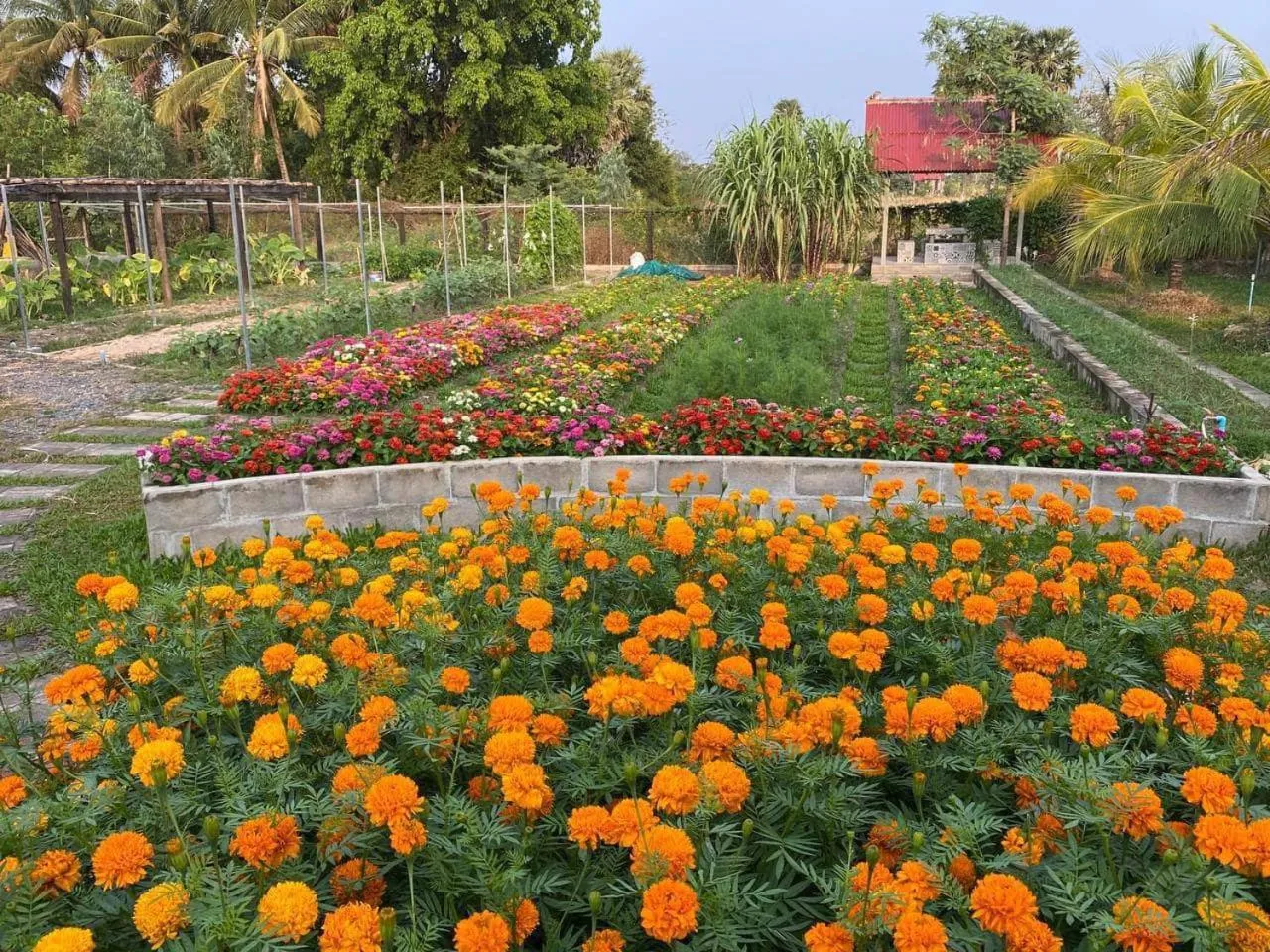 Ganesha Kampot Resort