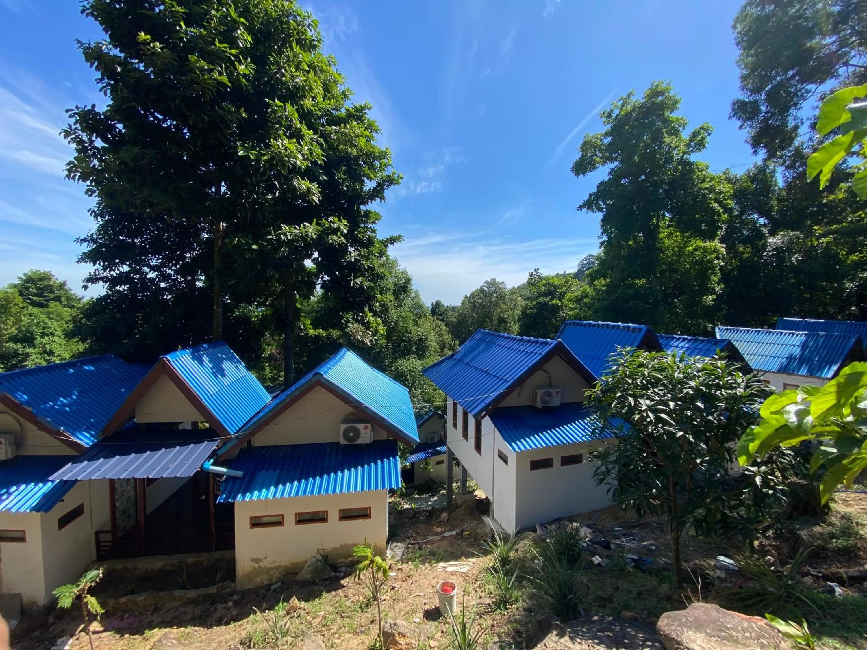 White Rose Guesthouse