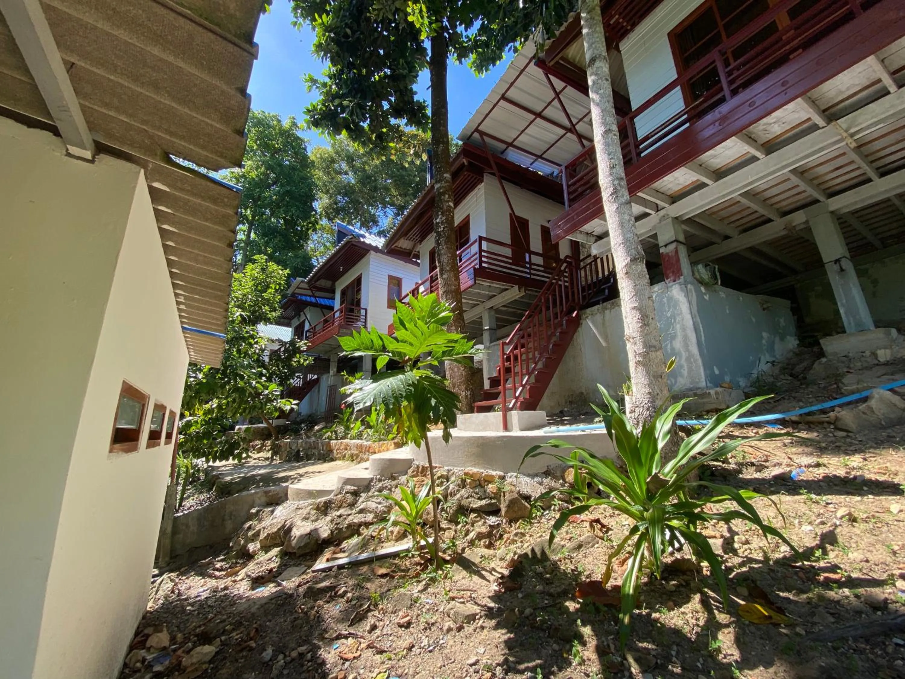 White Rose Guesthouse