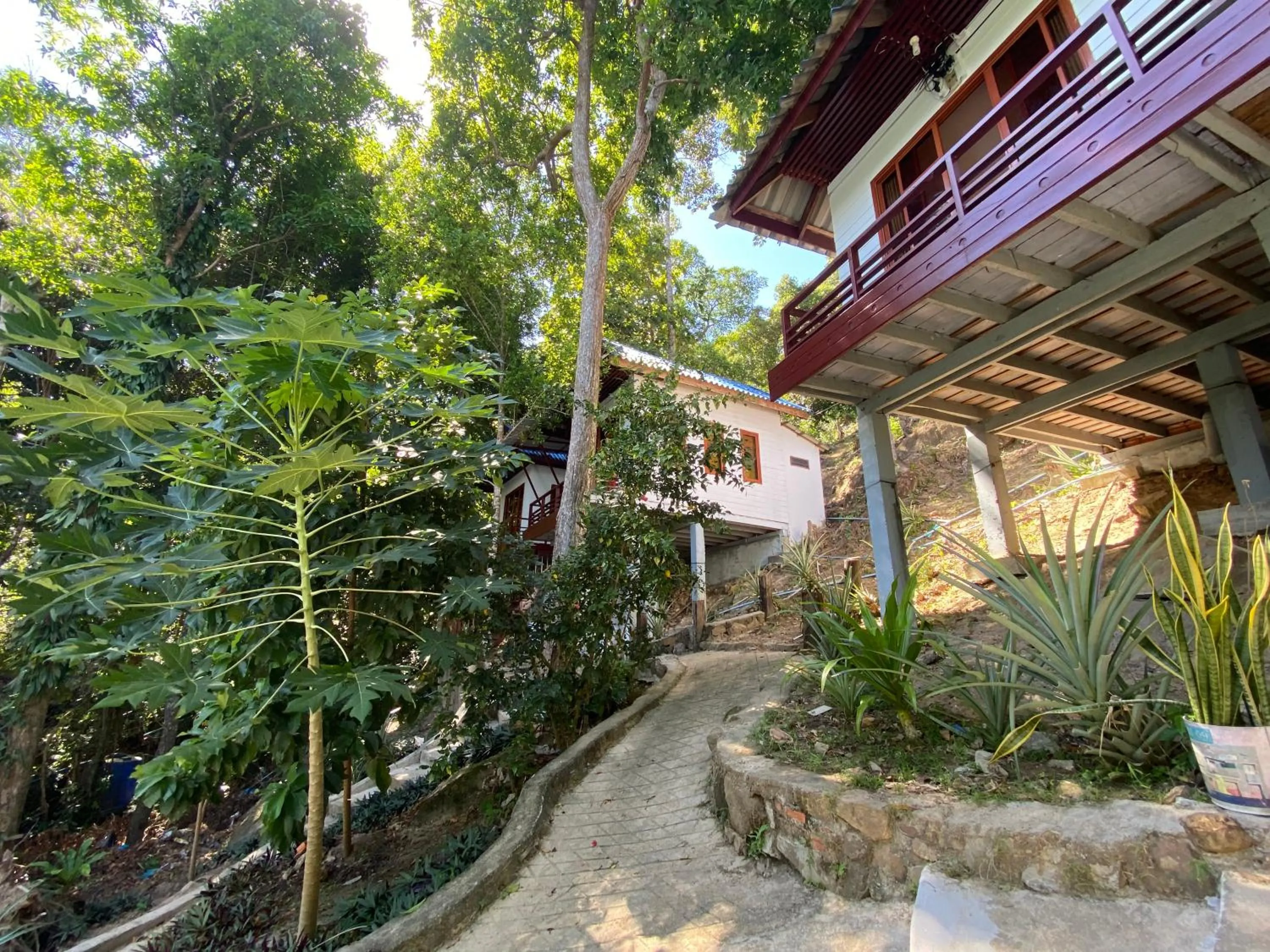 White Rose Guesthouse