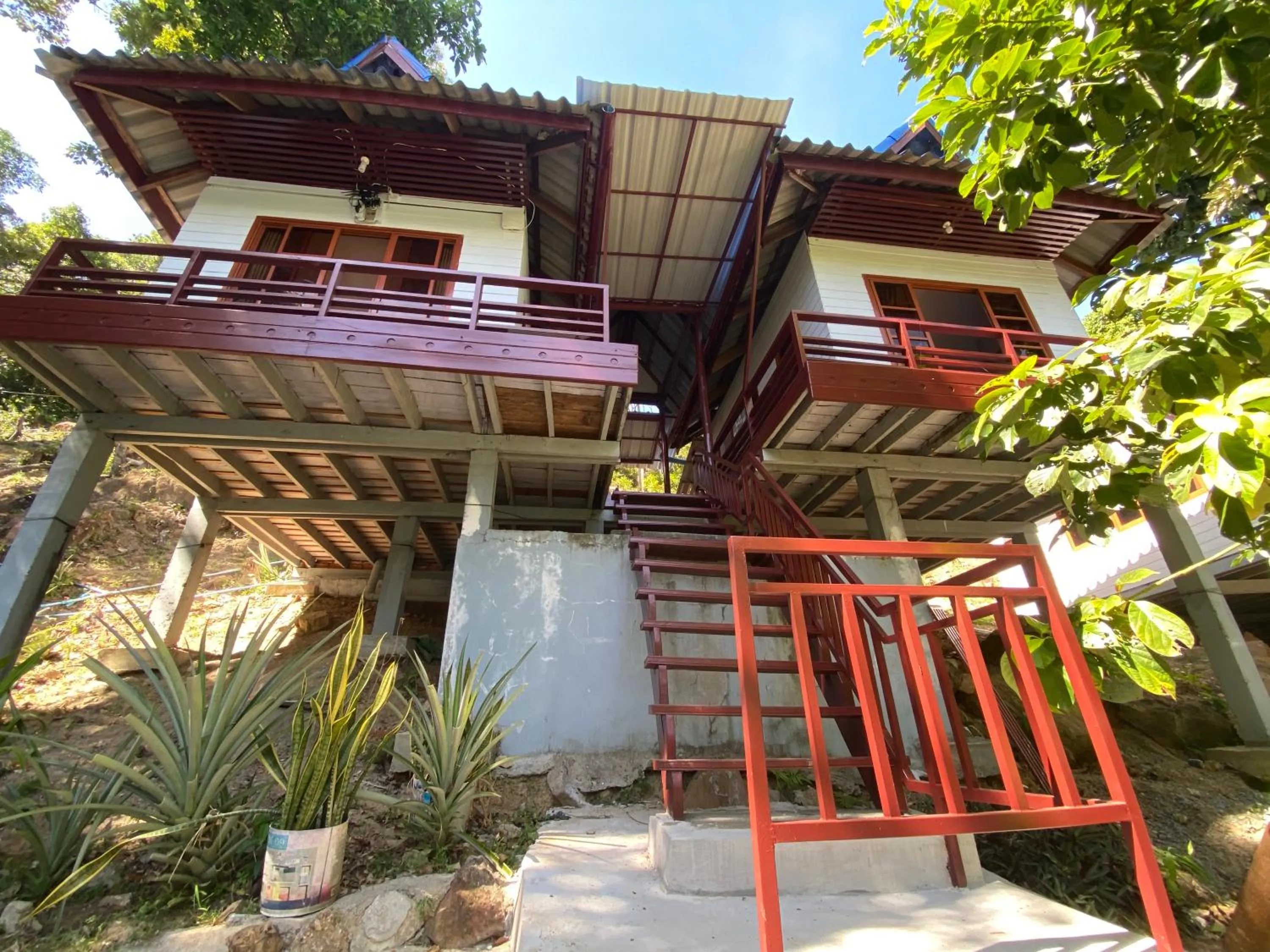 White Rose Guesthouse