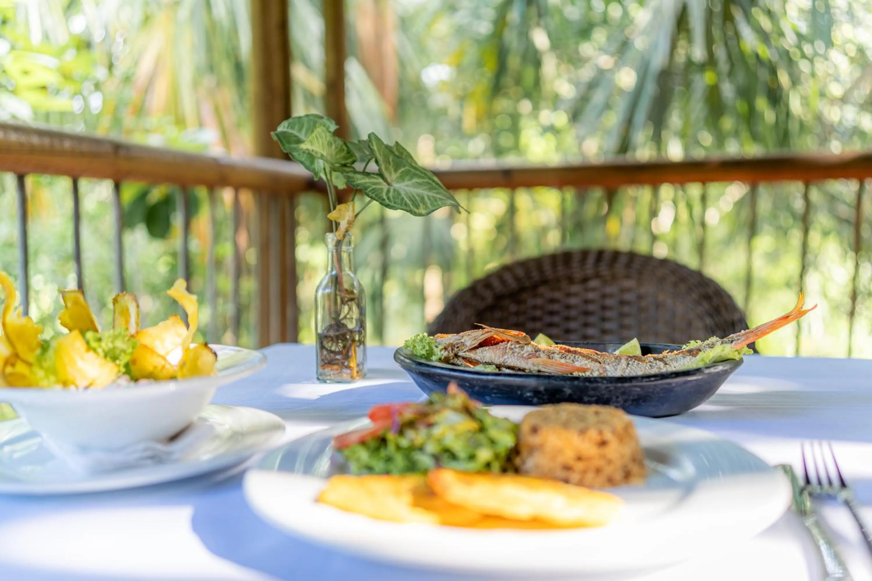 Restaurant/places to eat in Villa Maria Tayrona, Jungle and Sea Experience