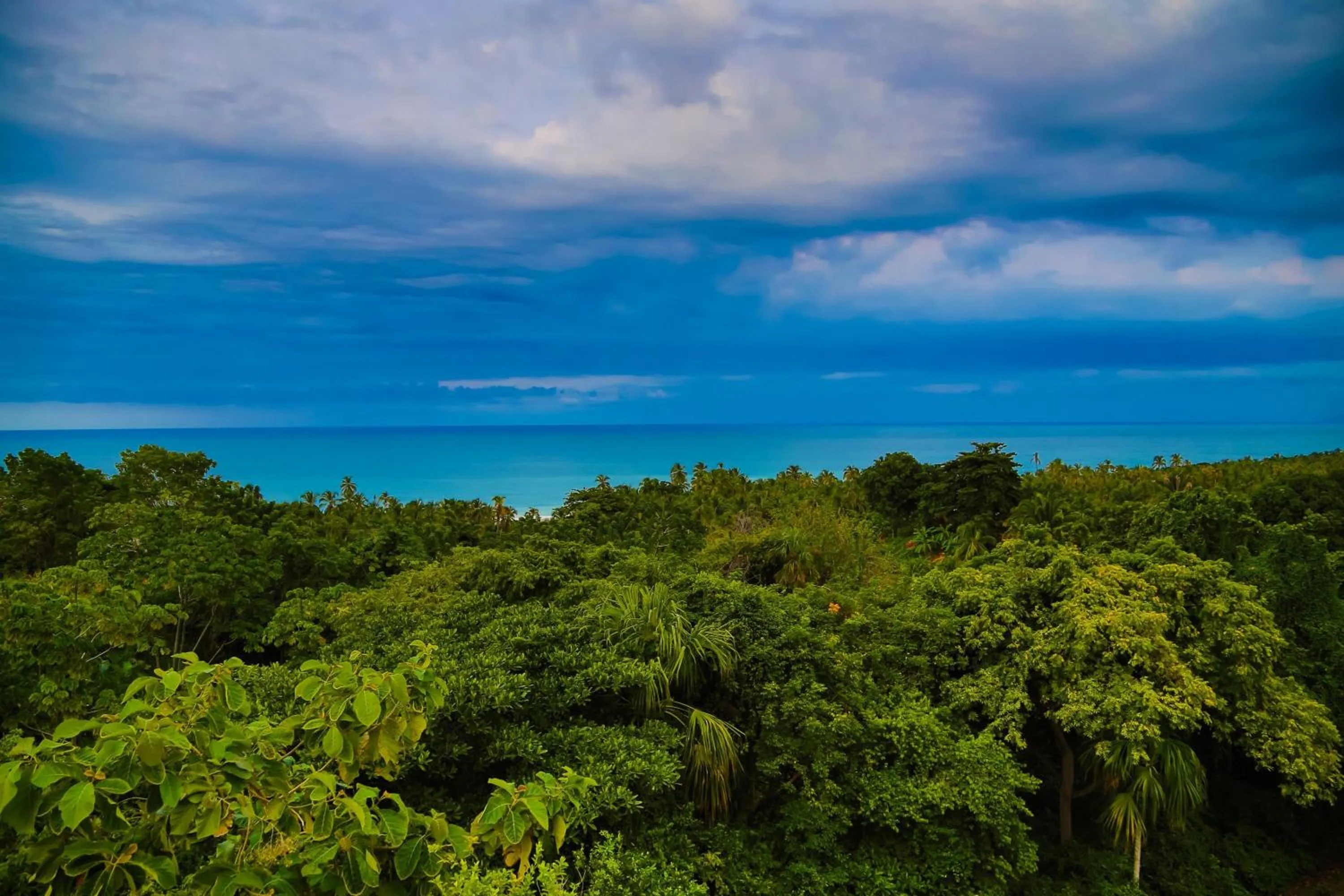 View (from property/room) in Villa Maria Tayrona, Jungle and Sea Experience