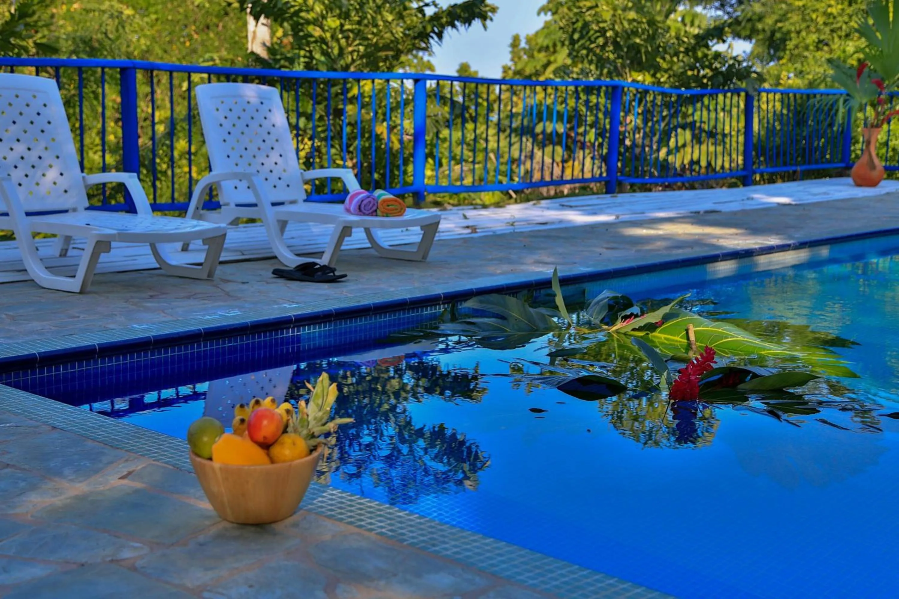 Swimming pool in Villa Maria Tayrona, Jungle and Sea Experience