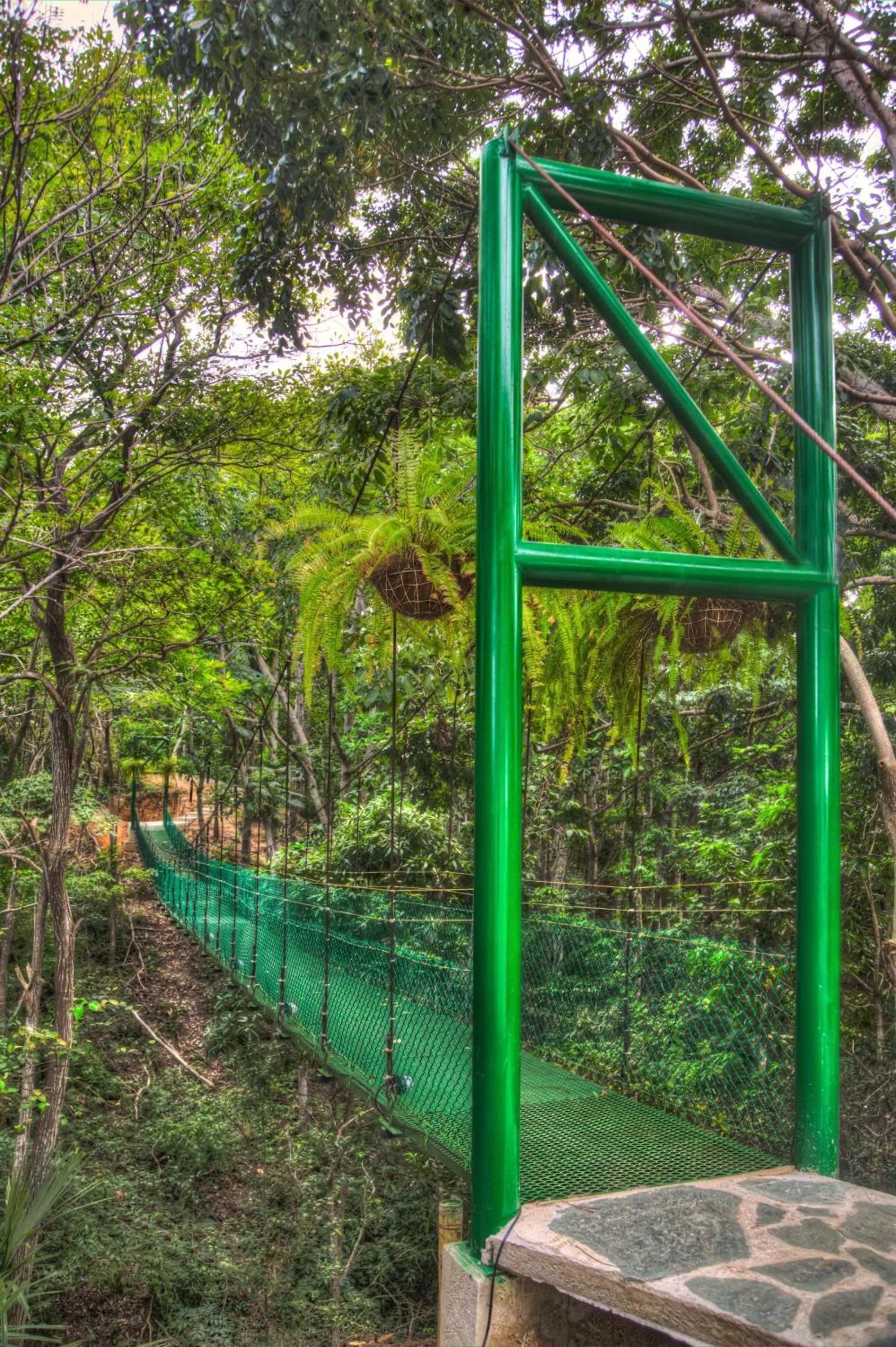 Other in Villa Maria Tayrona, Jungle and Sea Experience