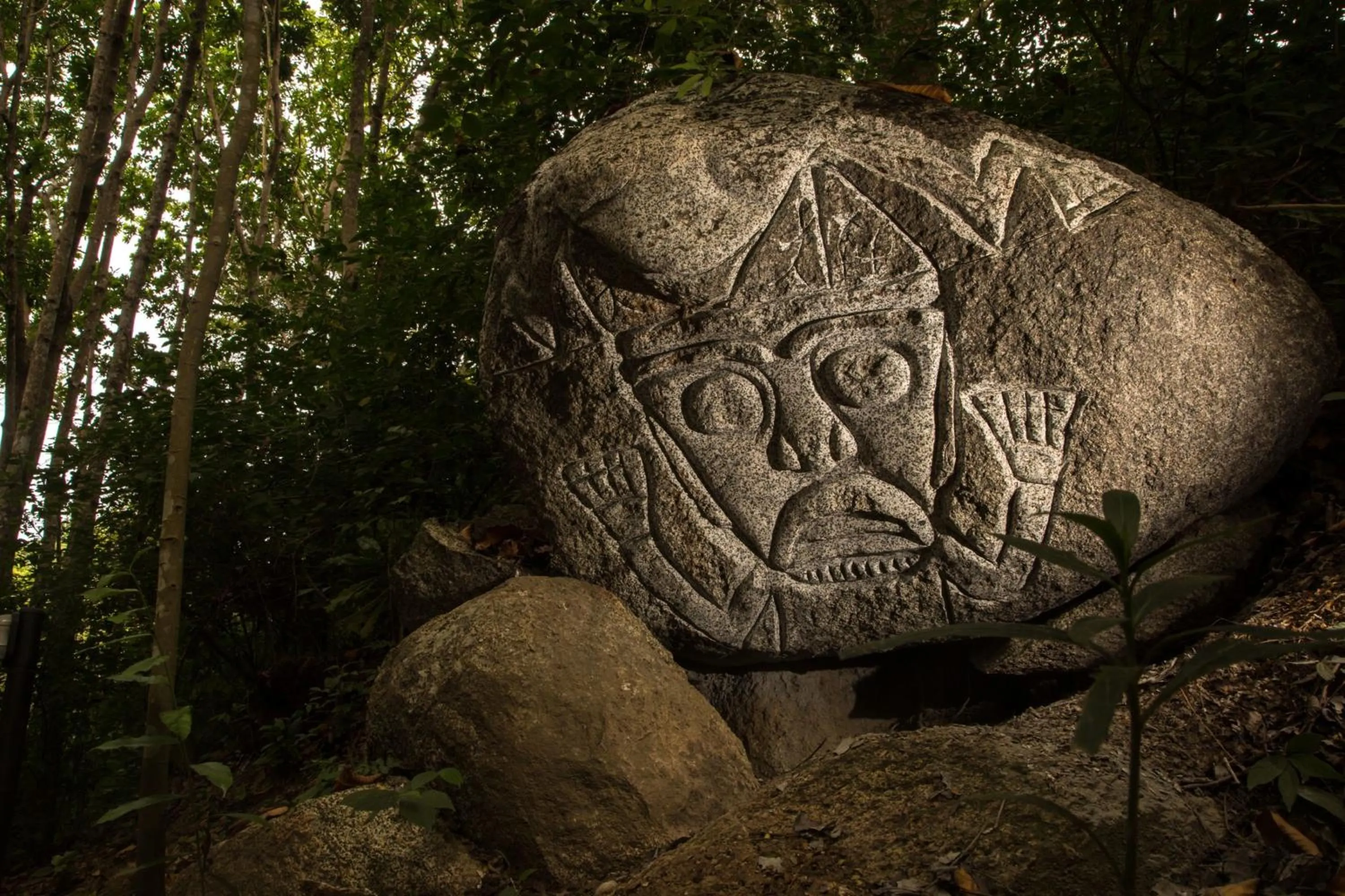 Area and facilities in Villa Maria Tayrona, Jungle and Sea Experience