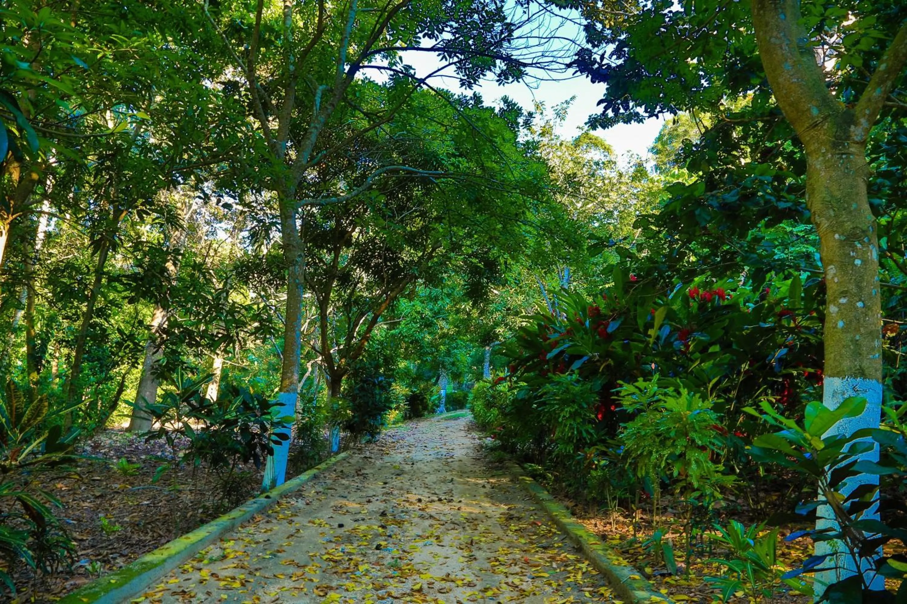 Patio in Villa Maria Tayrona, Jungle and Sea Experience
