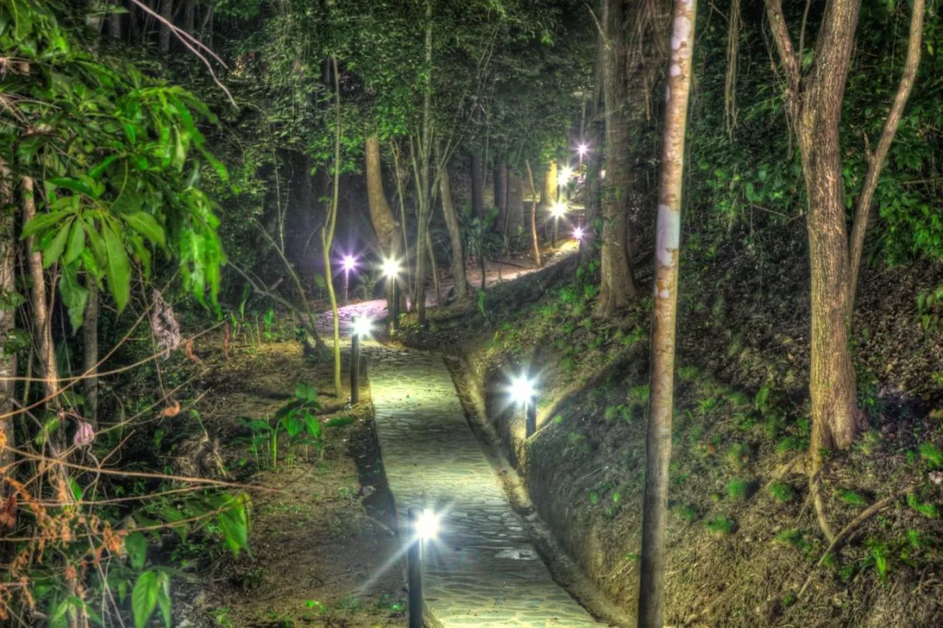 Garden in Villa Maria Tayrona, Jungle and Sea Experience