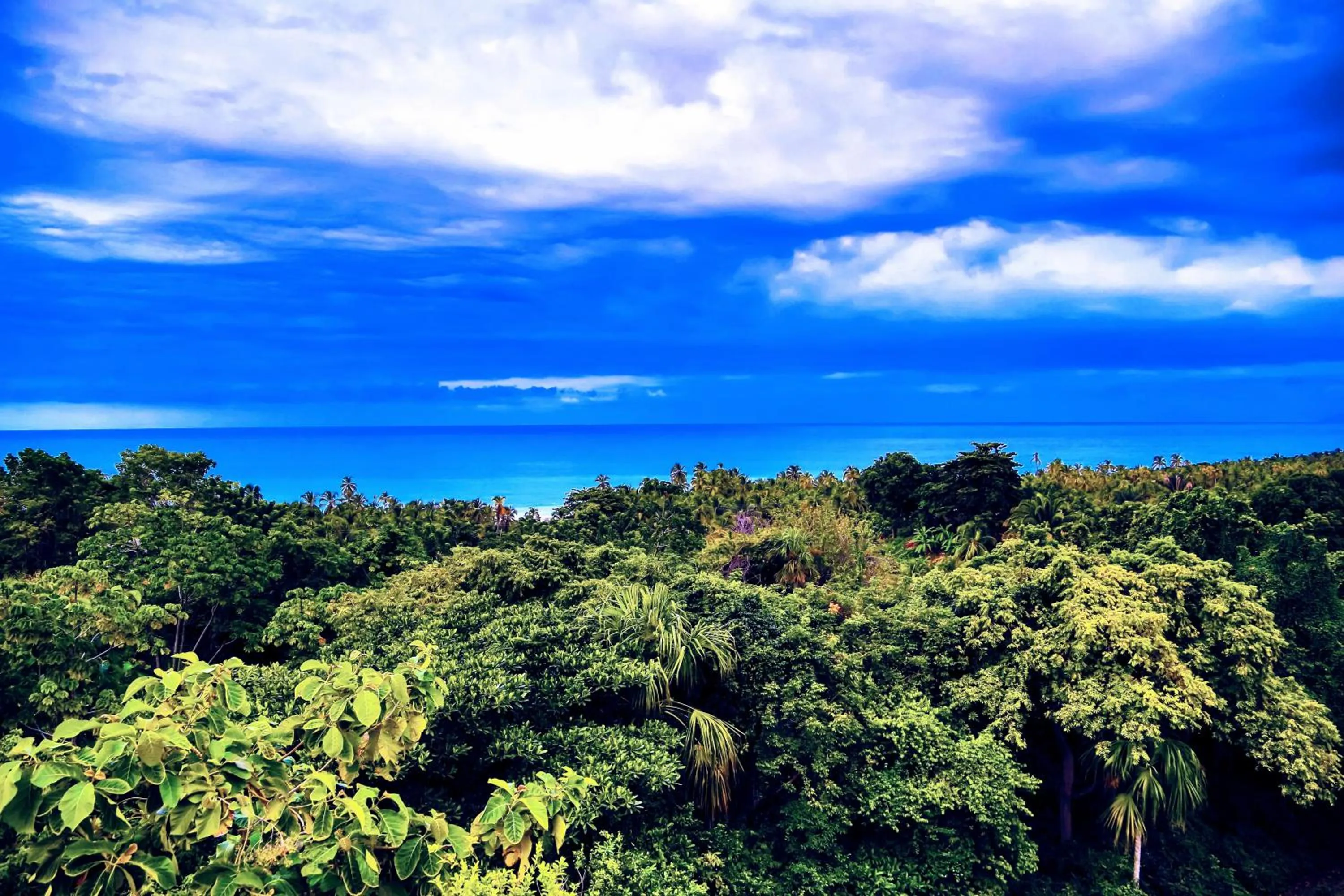 Sea view in Villa Maria Tayrona, Jungle and Sea Experience