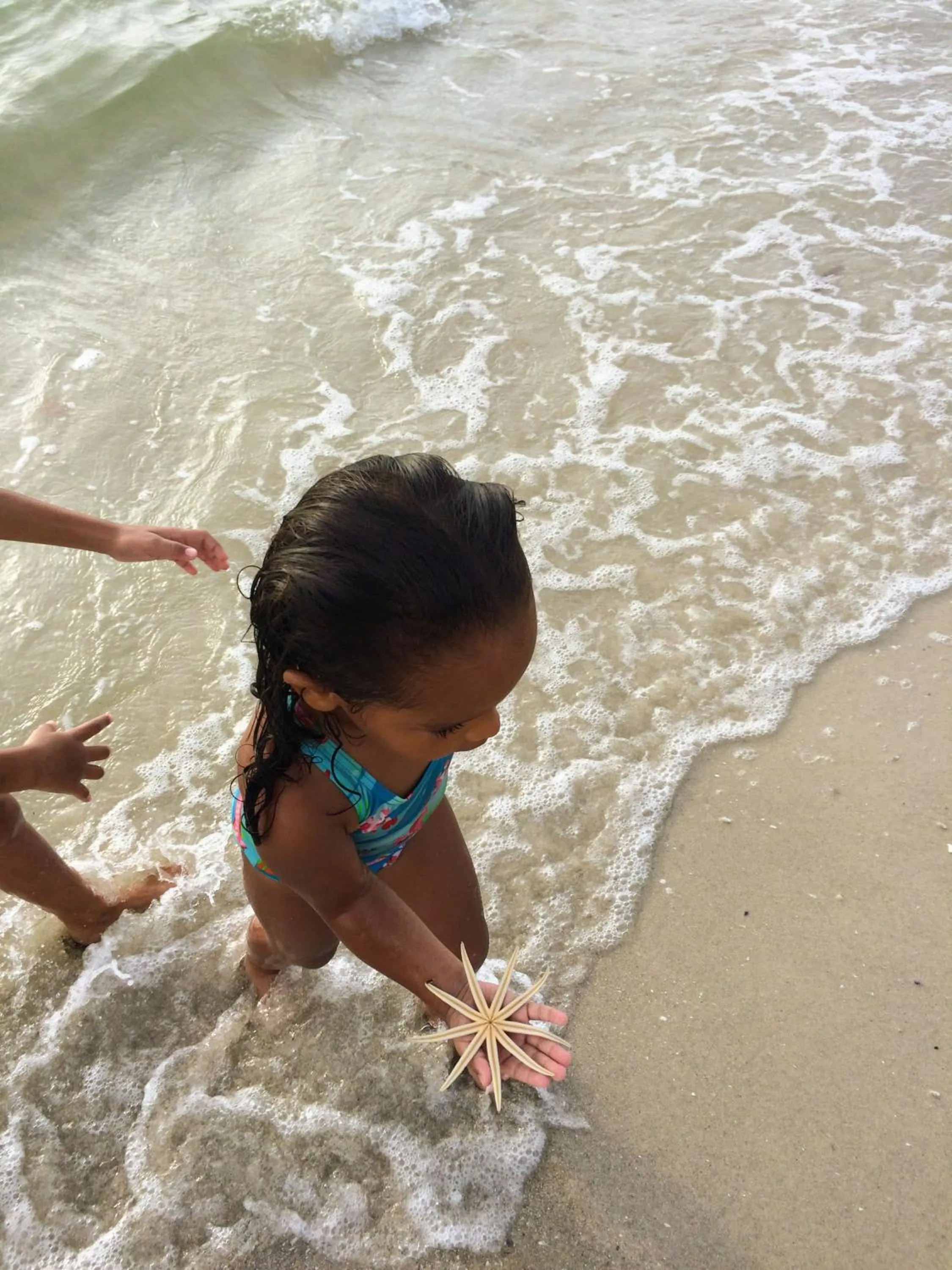 Beach in Villa Maria Tayrona, Jungle and Sea Experience