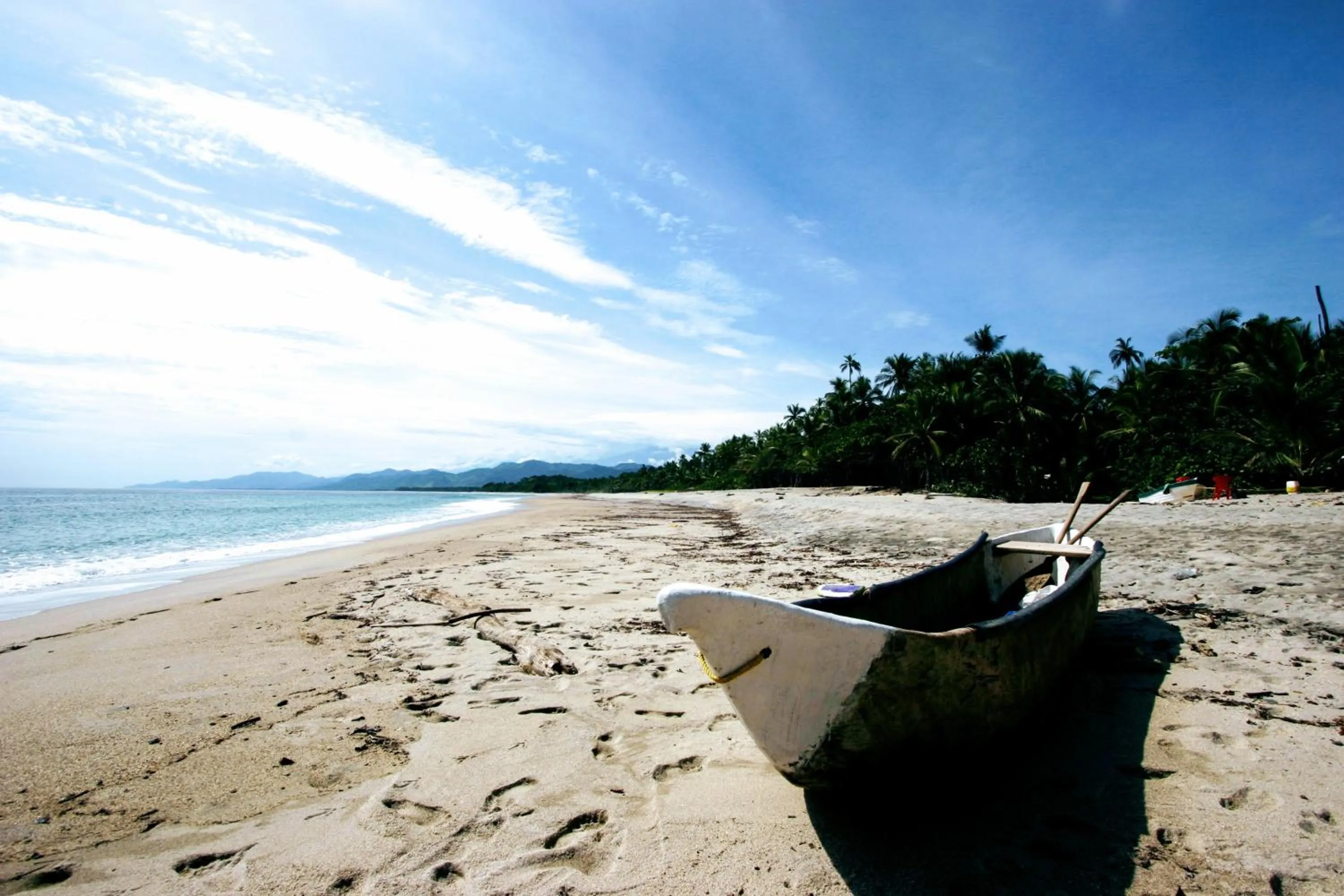 Beach in Villa Maria Tayrona, Jungle and Sea Experience