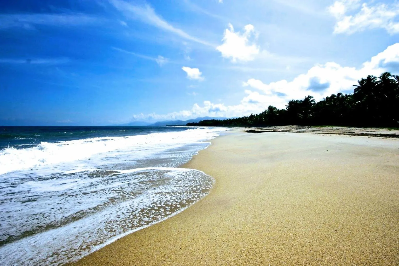 Beach in Villa Maria Tayrona, Jungle and Sea Experience