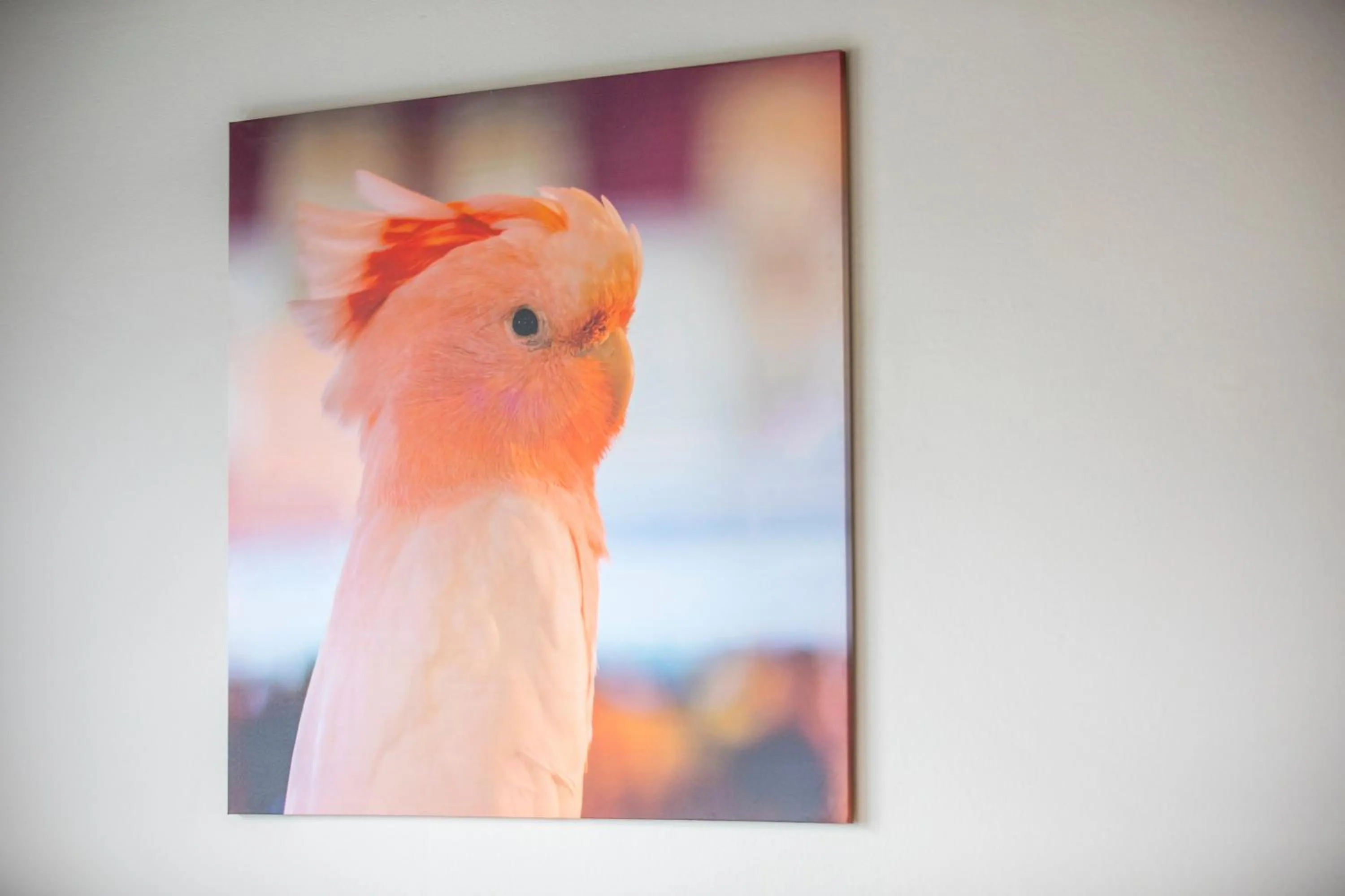 Decorative detail in Nightcap at Chester Hill Hotel