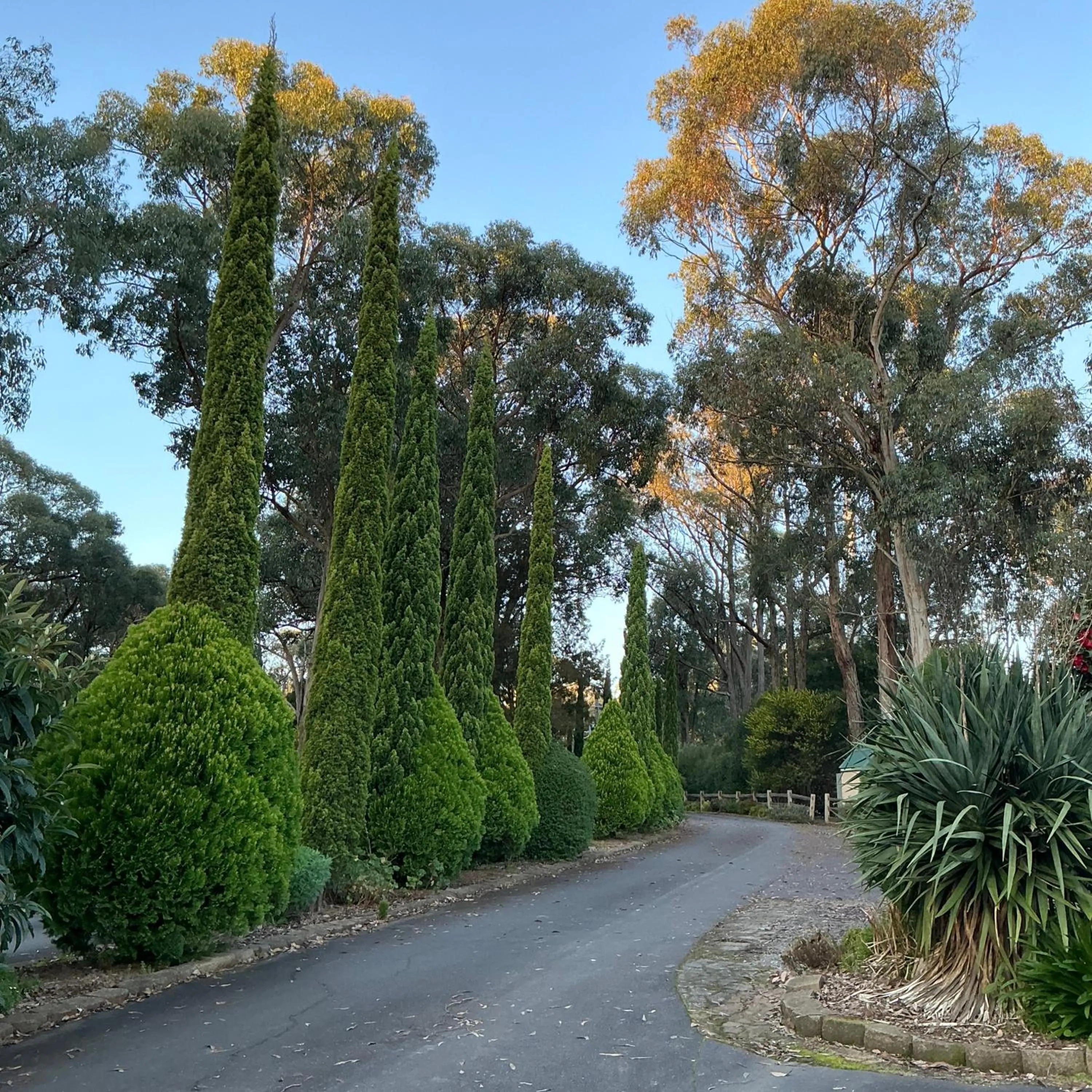 Sanctuary House Resort Motel