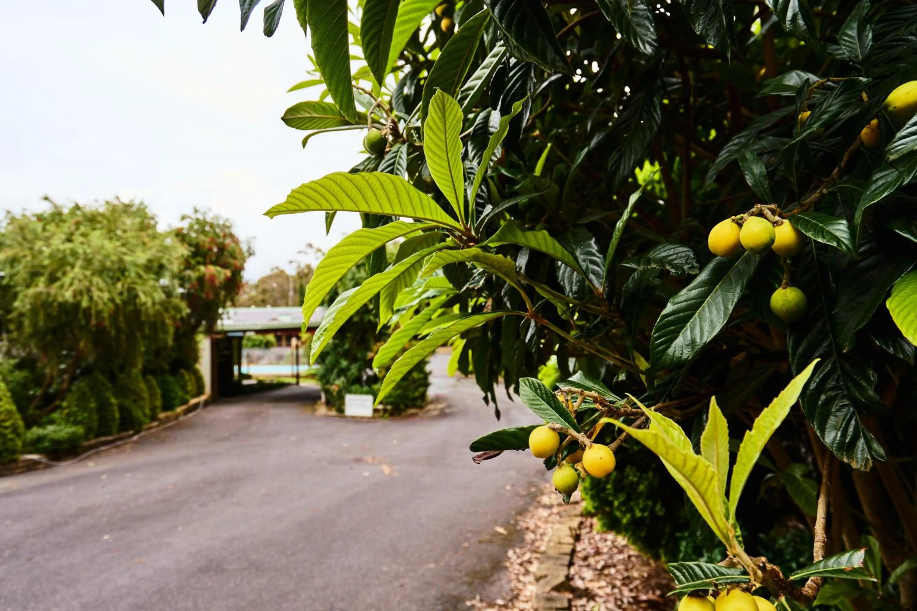 Sanctuary House Resort Motel