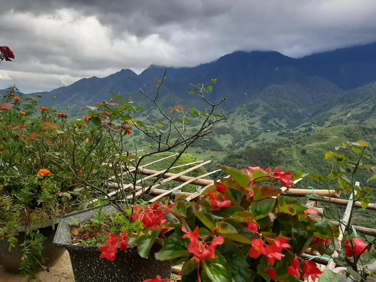 Property building in VALLEY VIEW COFFEE & STAY