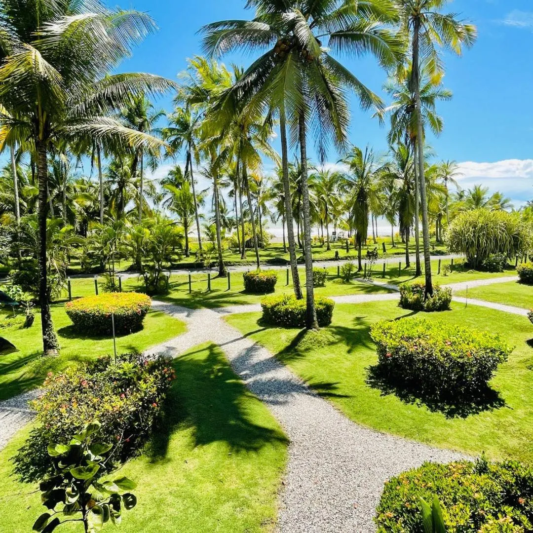 Garden in HOTEL COCOMAR