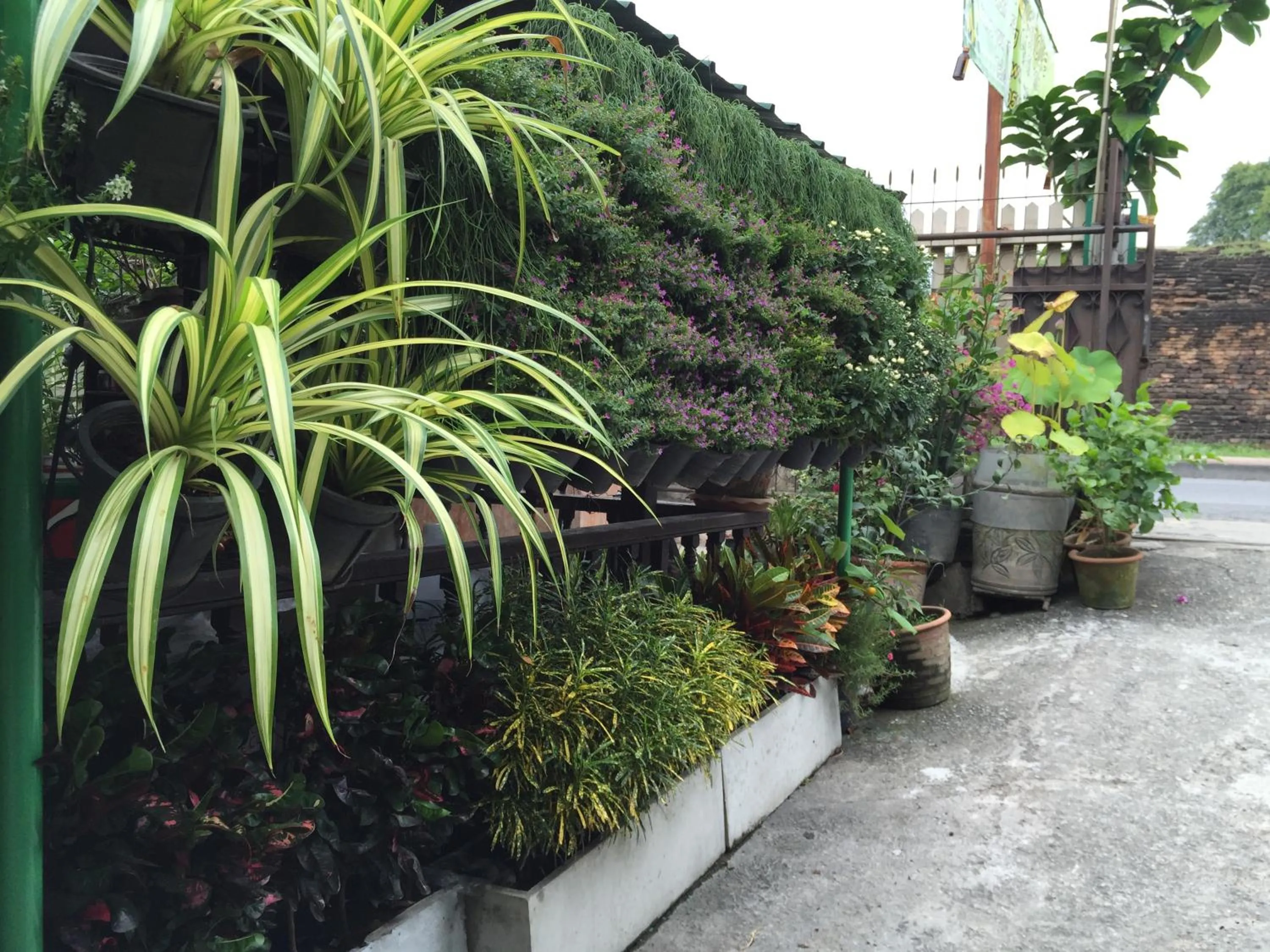 Day in Siriwan Guesthouse