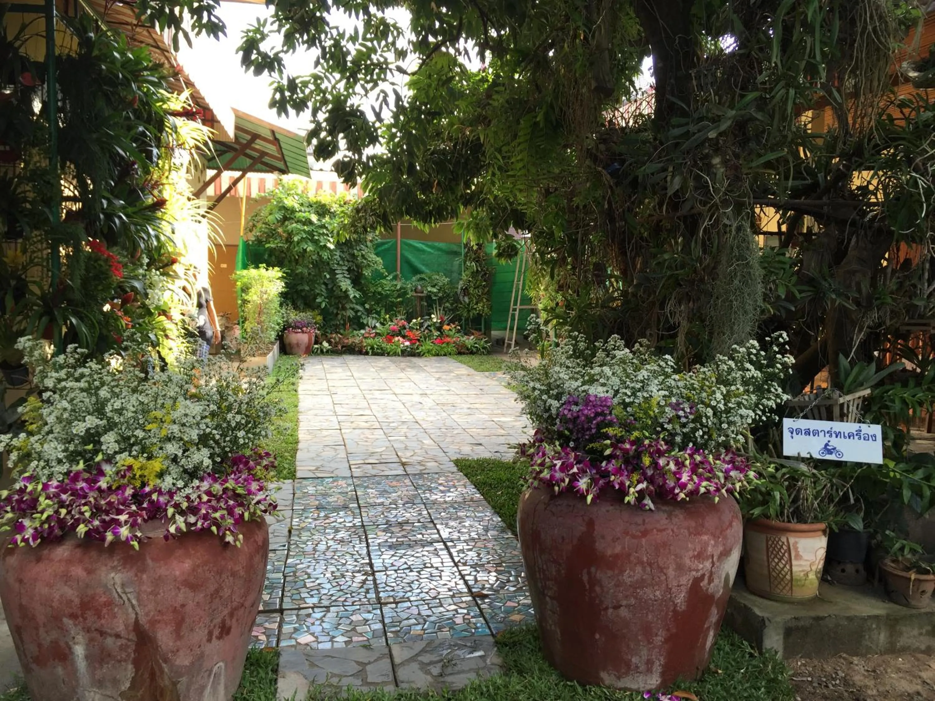 Spring in Siriwan Guesthouse