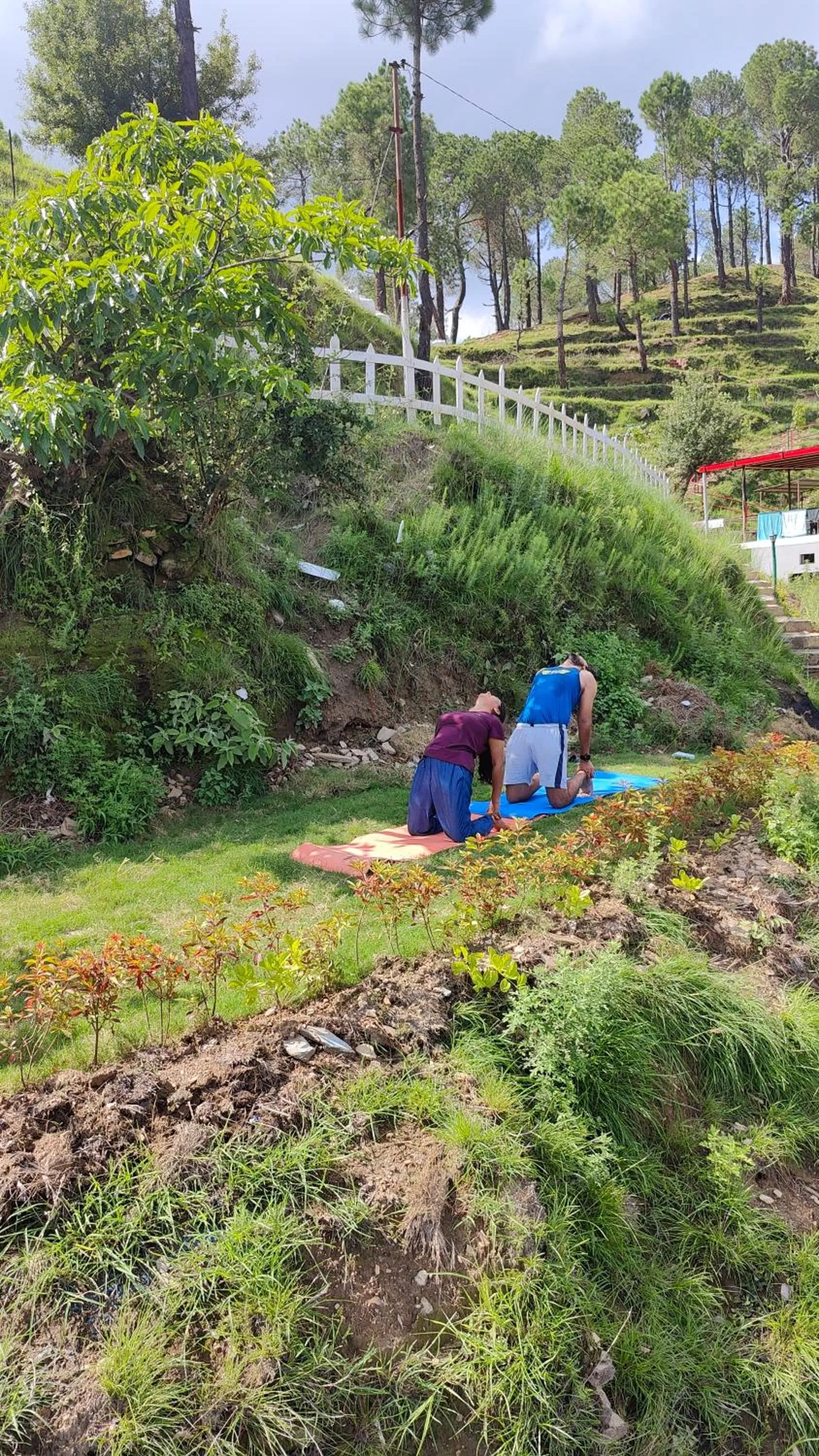 Activities in Adaara Retreat - Pet Friendly Cottages, Almora