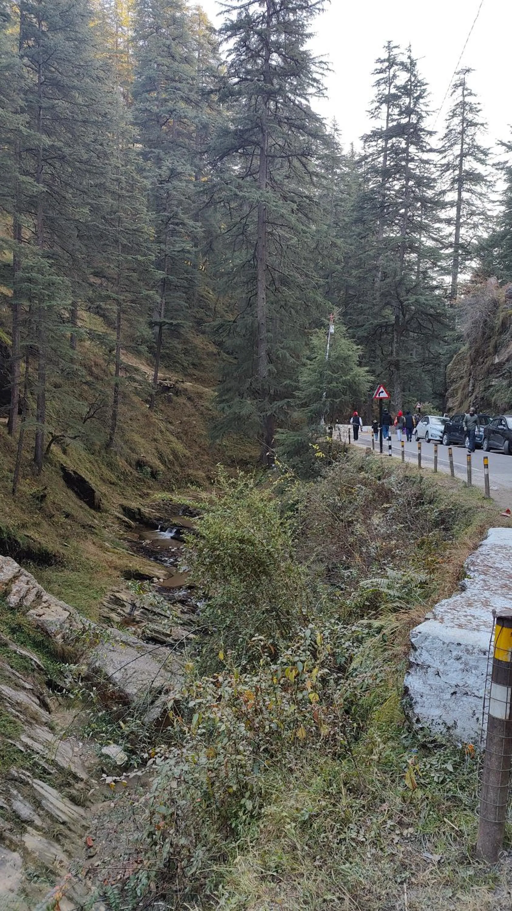 Natural landscape in Adaara Retreat - Pet Friendly Cottages, Almora