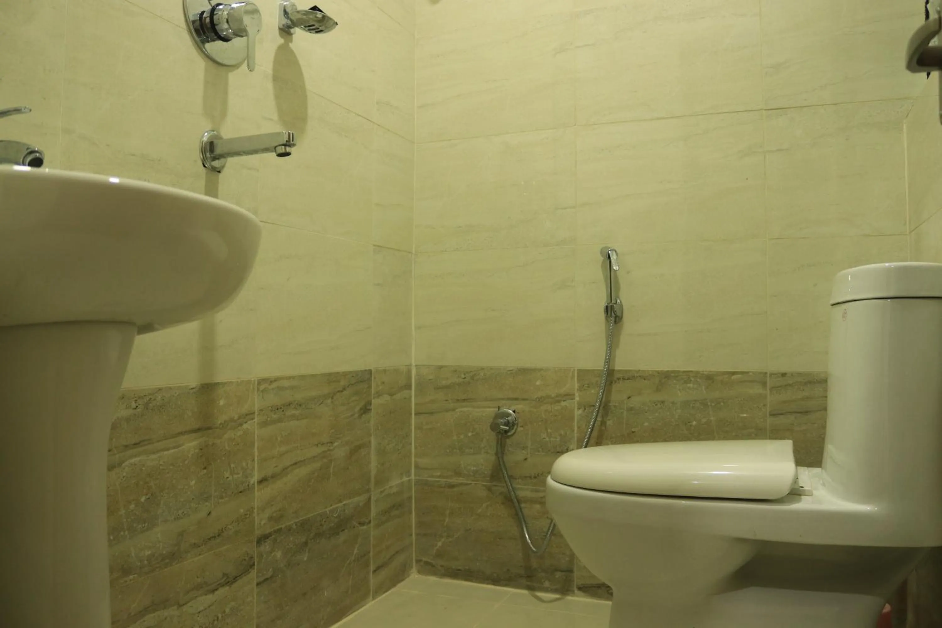 Toilet in Hotel Junction