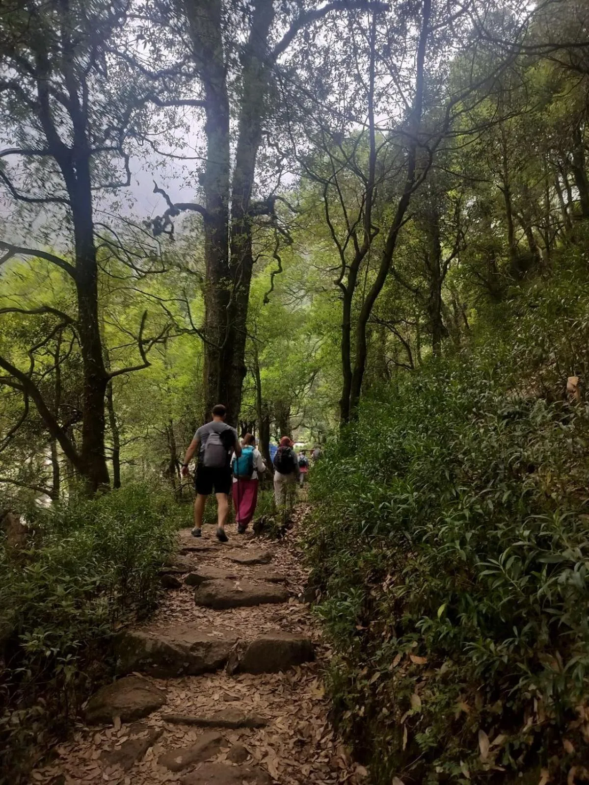 Natural landscape in Aliza Inn And Suites By SRS Hotels