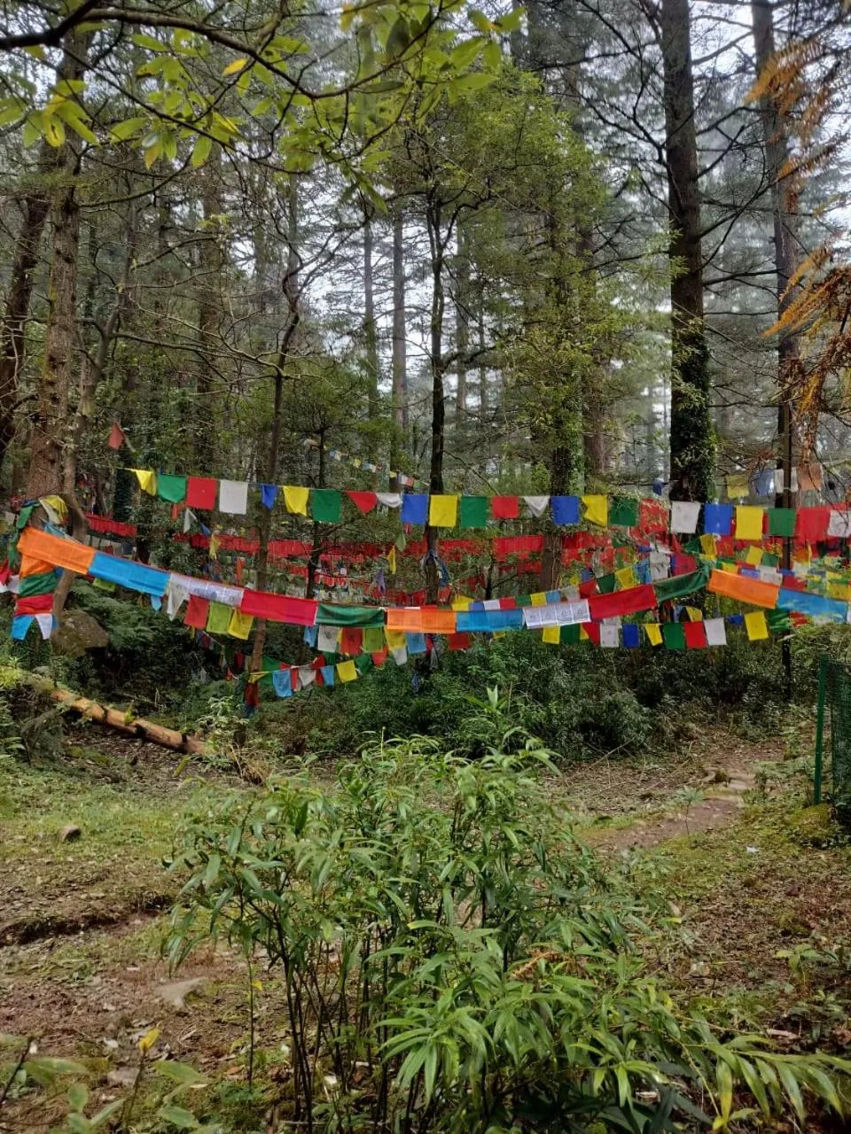 Natural landscape in Aliza Inn And Suites By SRS Hotels