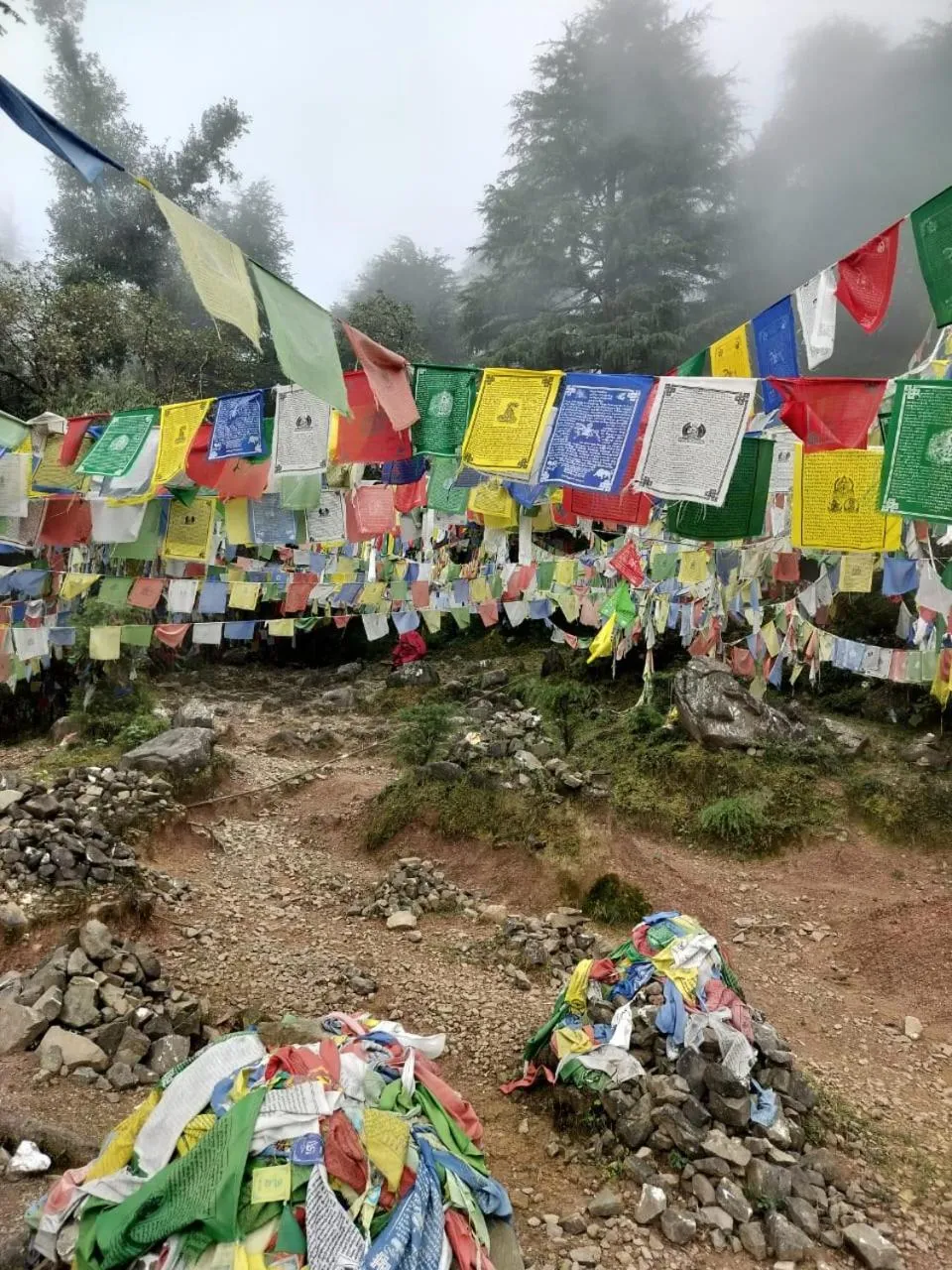 Natural landscape in Aliza Inn And Suites By SRS Hotels